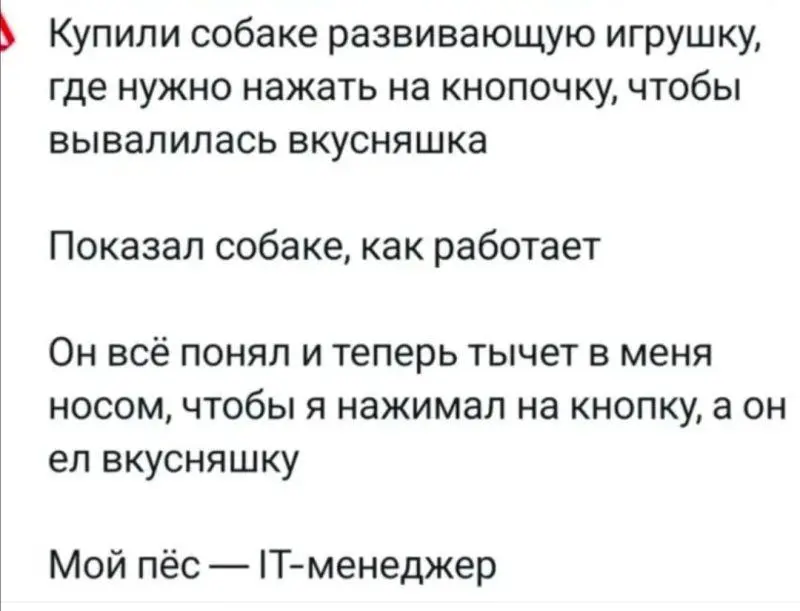 #life #work | Сетка — социальная сеть от hh.ru
