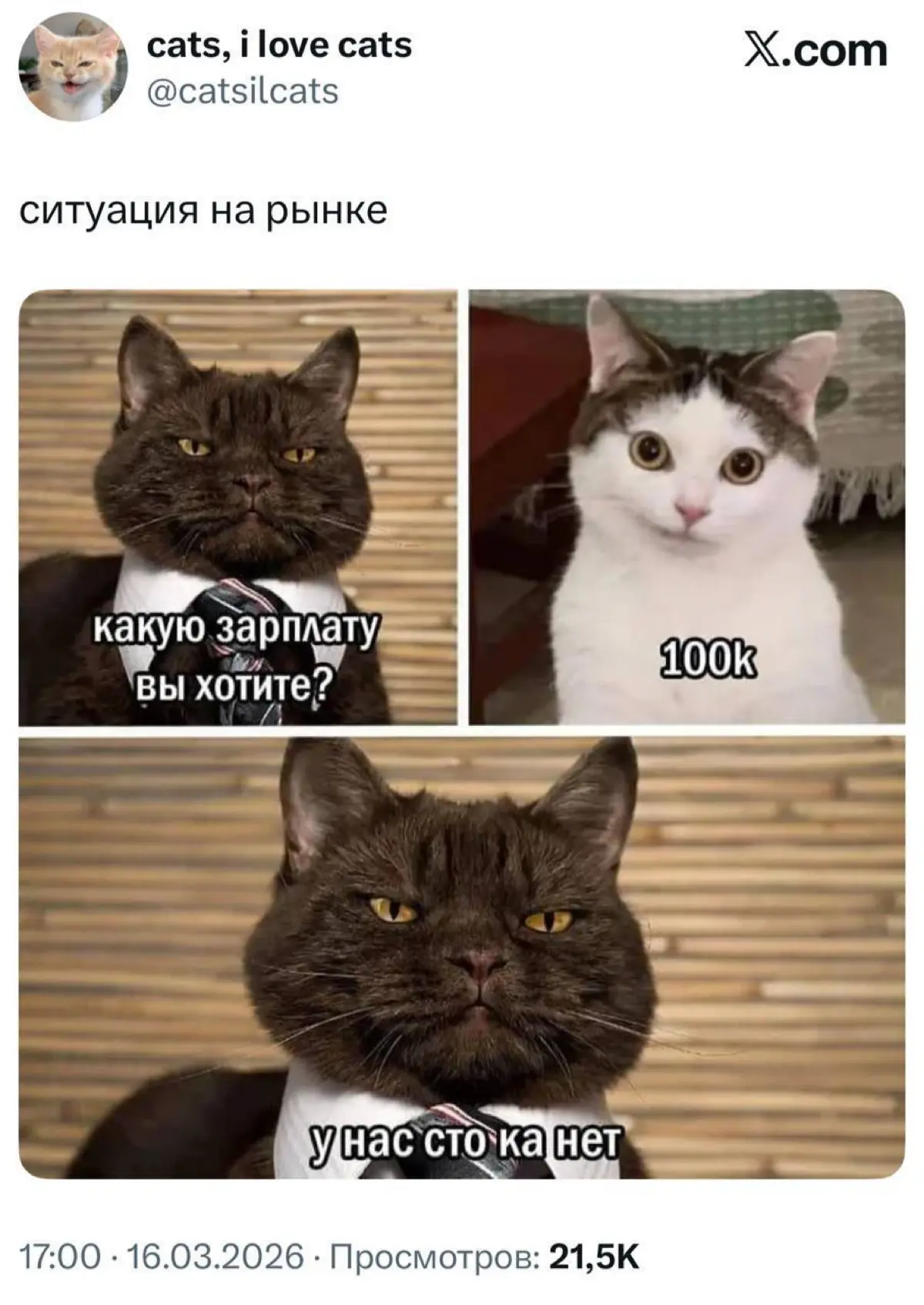 Сетка — социальная сеть от hh.ru