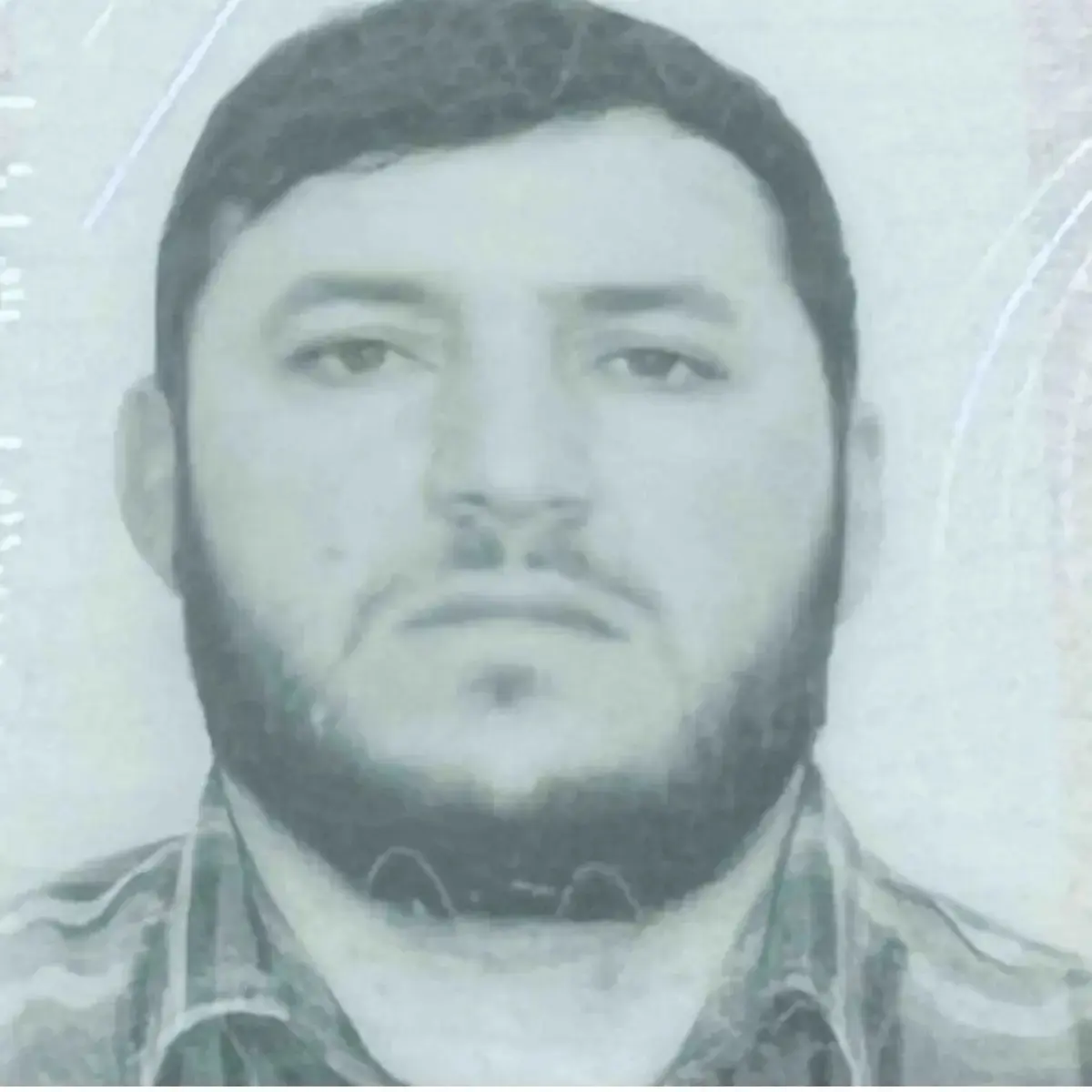 Зайнудин Зайнудинов | Сетка — социальная сеть от hh.ru