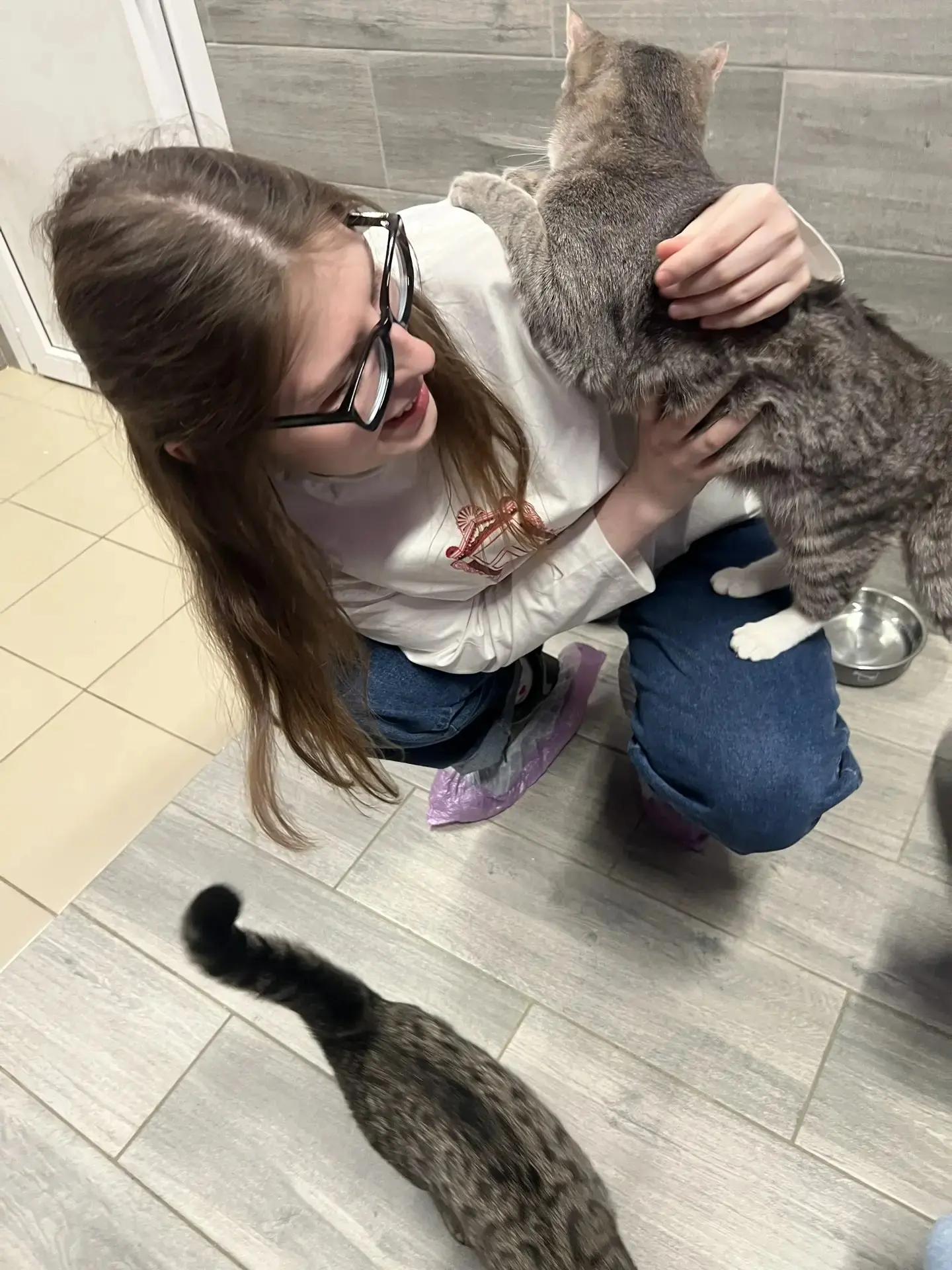 🐾 Иногда самые важные дела происходят вне рабочих задач — там, где нужны не профессиональные навыки, а обычное человеческое тепло | Сетка — социальная сеть от hh.ru