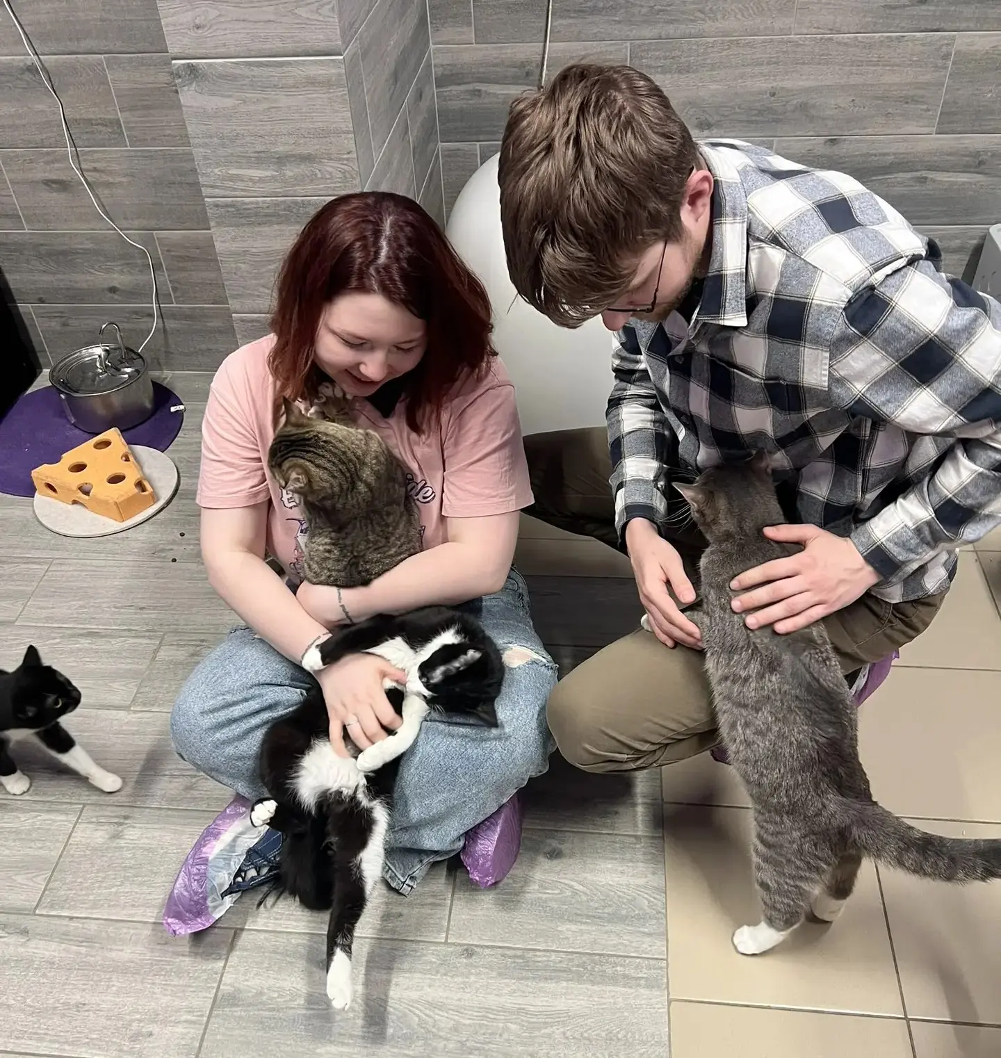 🐾 Иногда самые важные дела происходят вне рабочих задач — там, где нужны не профессиональные навыки, а обычное человеческое тепло | Сетка — социальная сеть от hh.ru