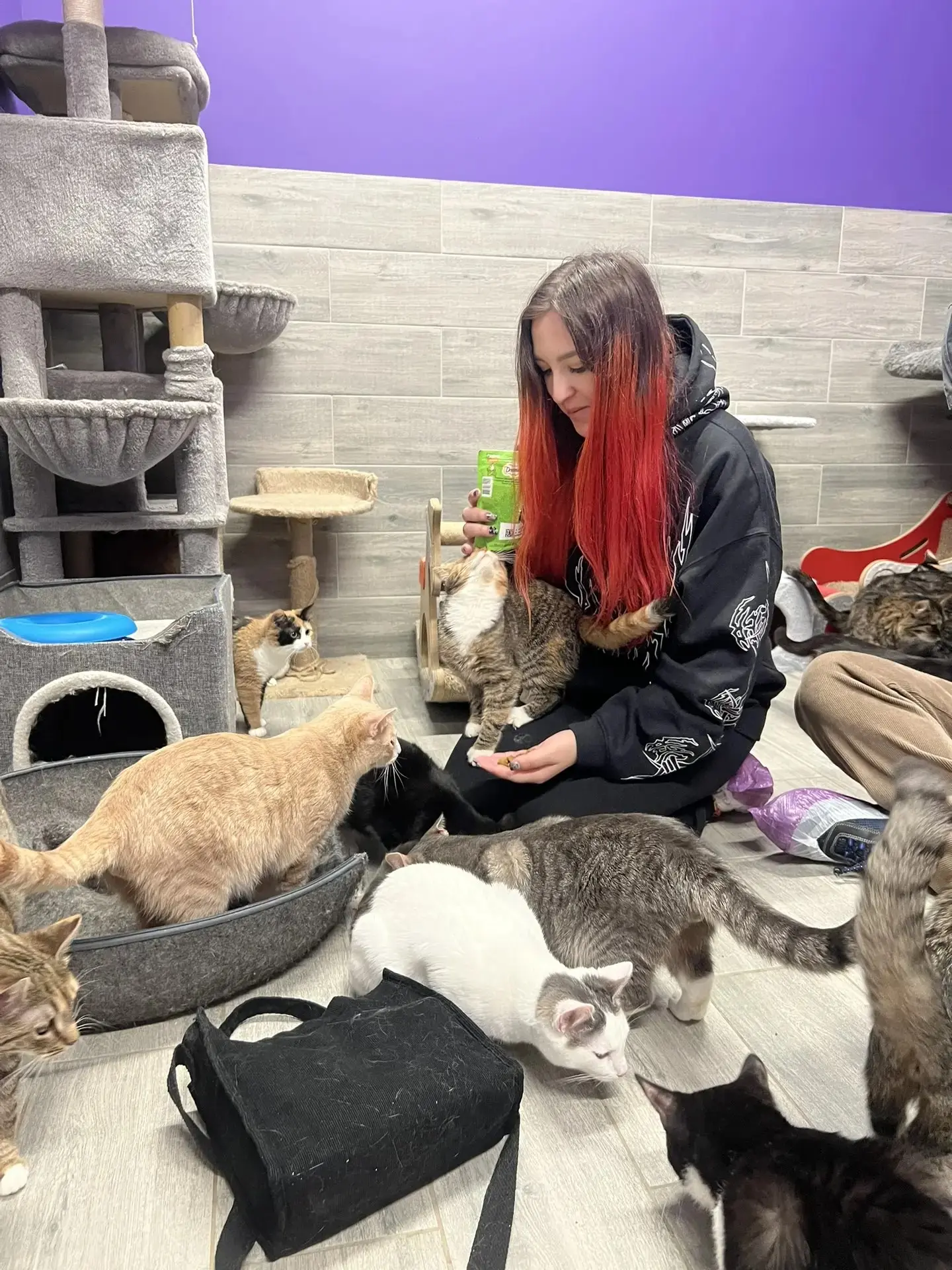 🐾 Иногда самые важные дела происходят вне рабочих задач — там, где нужны не профессиональные навыки, а обычное человеческое тепло | Сетка — социальная сеть от hh.ru