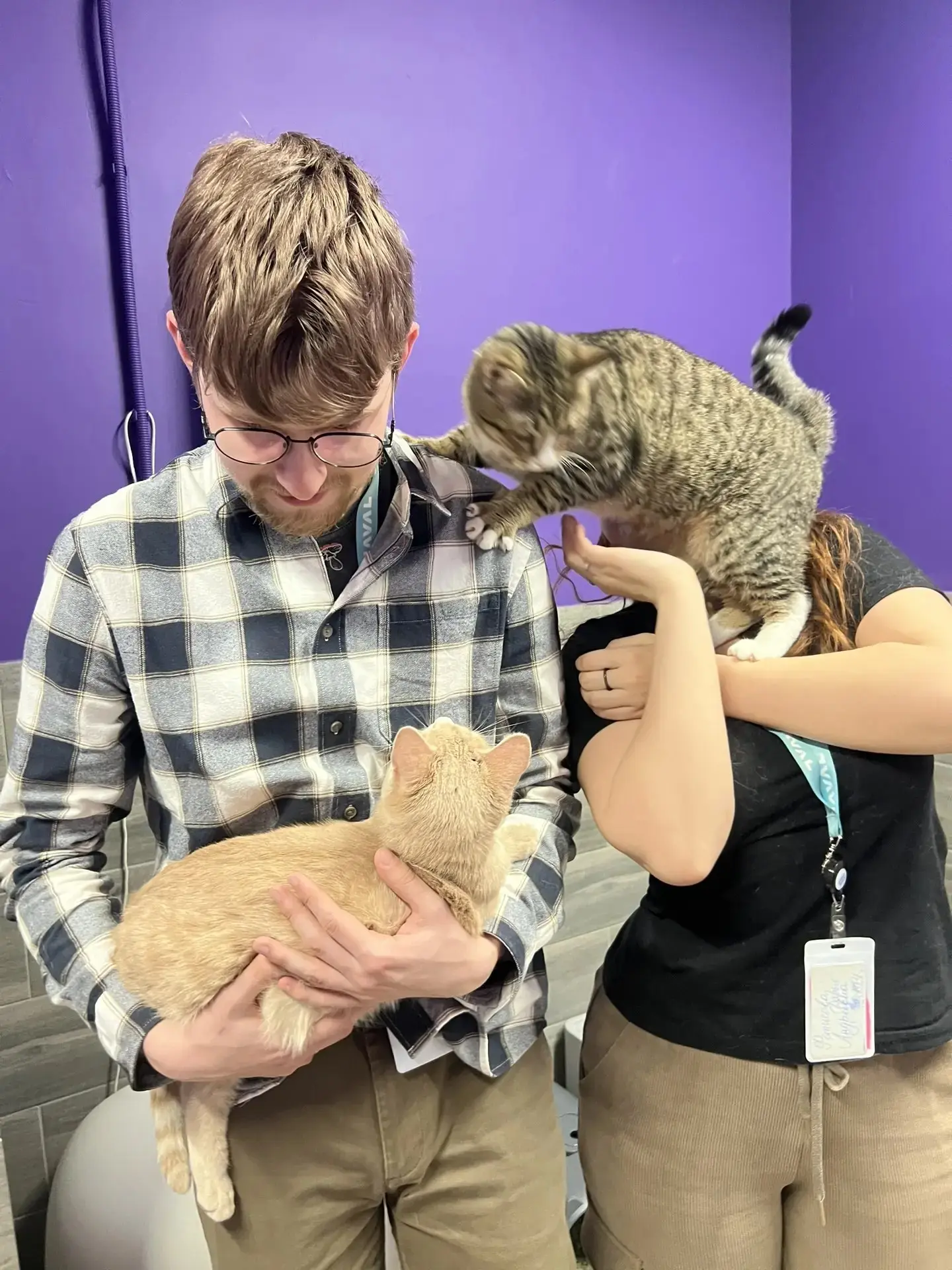 🐾 Иногда самые важные дела происходят вне рабочих задач — там, где нужны не профессиональные навыки, а обычное человеческое тепло | Сетка — социальная сеть от hh.ru