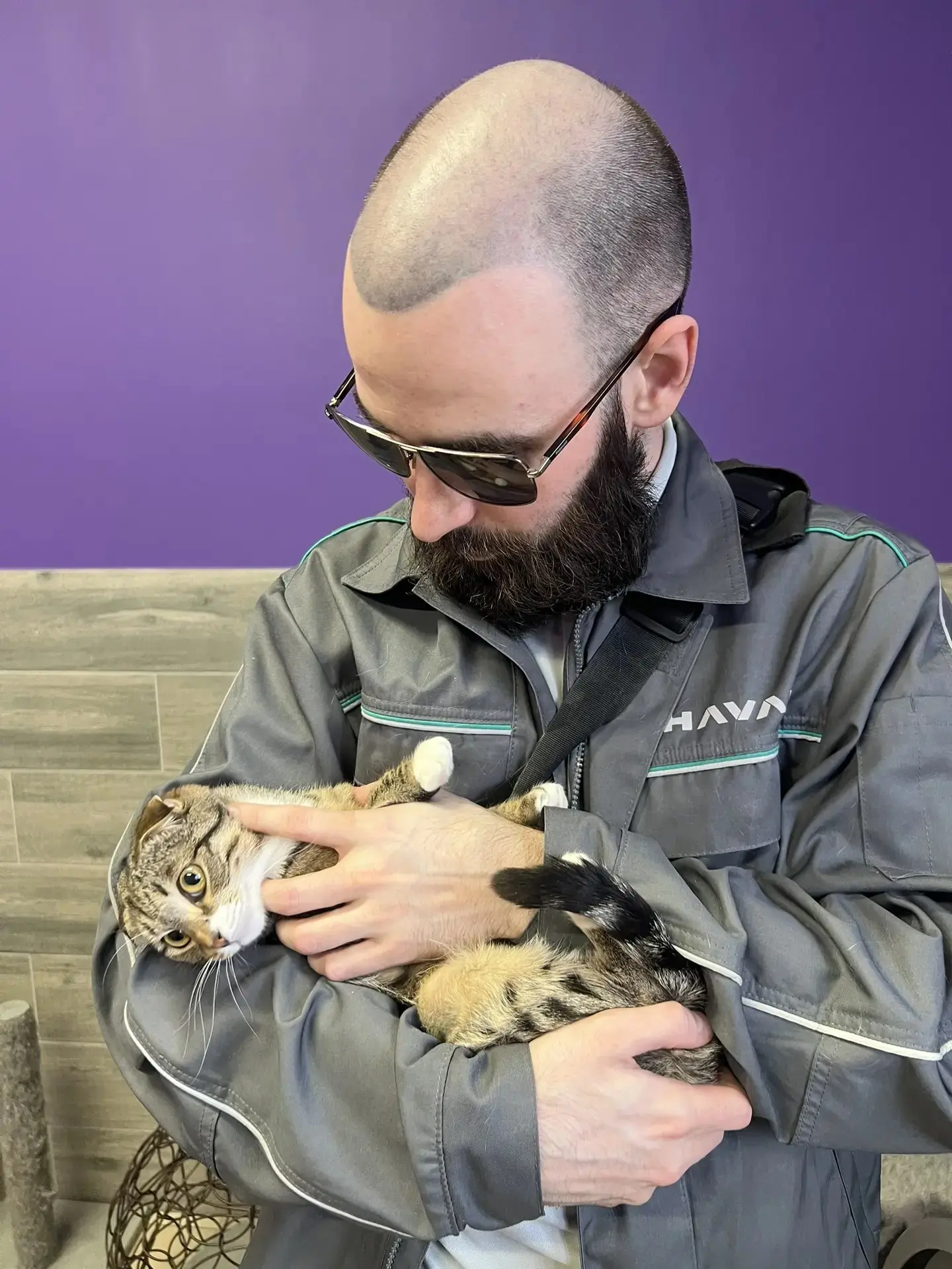 🐾 Иногда самые важные дела происходят вне рабочих задач — там, где нужны не профессиональные навыки, а обычное человеческое тепло | Сетка — социальная сеть от hh.ru