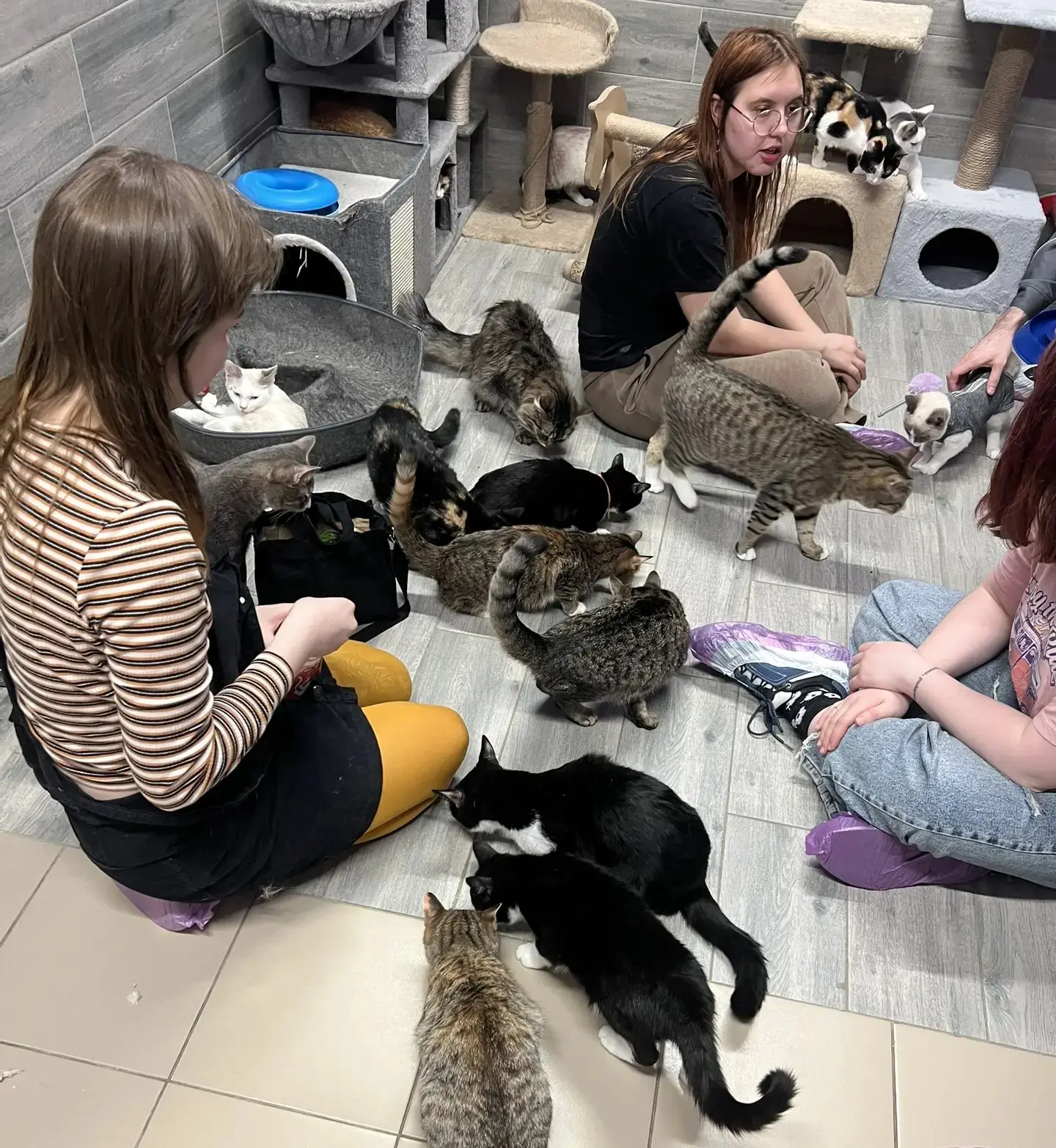🐾 Иногда самые важные дела происходят вне рабочих задач — там, где нужны не профессиональные навыки, а обычное человеческое тепло | Сетка — социальная сеть от hh.ru