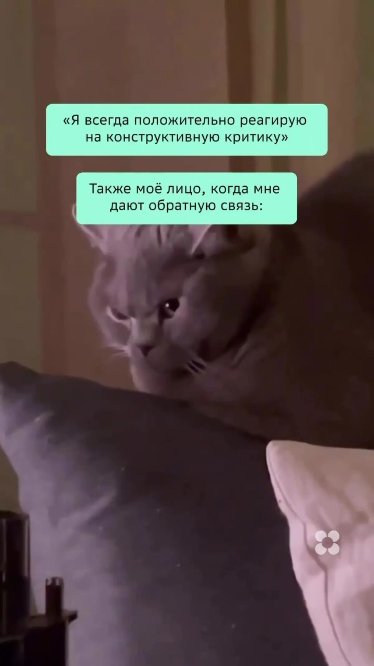 Любишь получать фидбек? | Сетка — социальная сеть от hh.ru