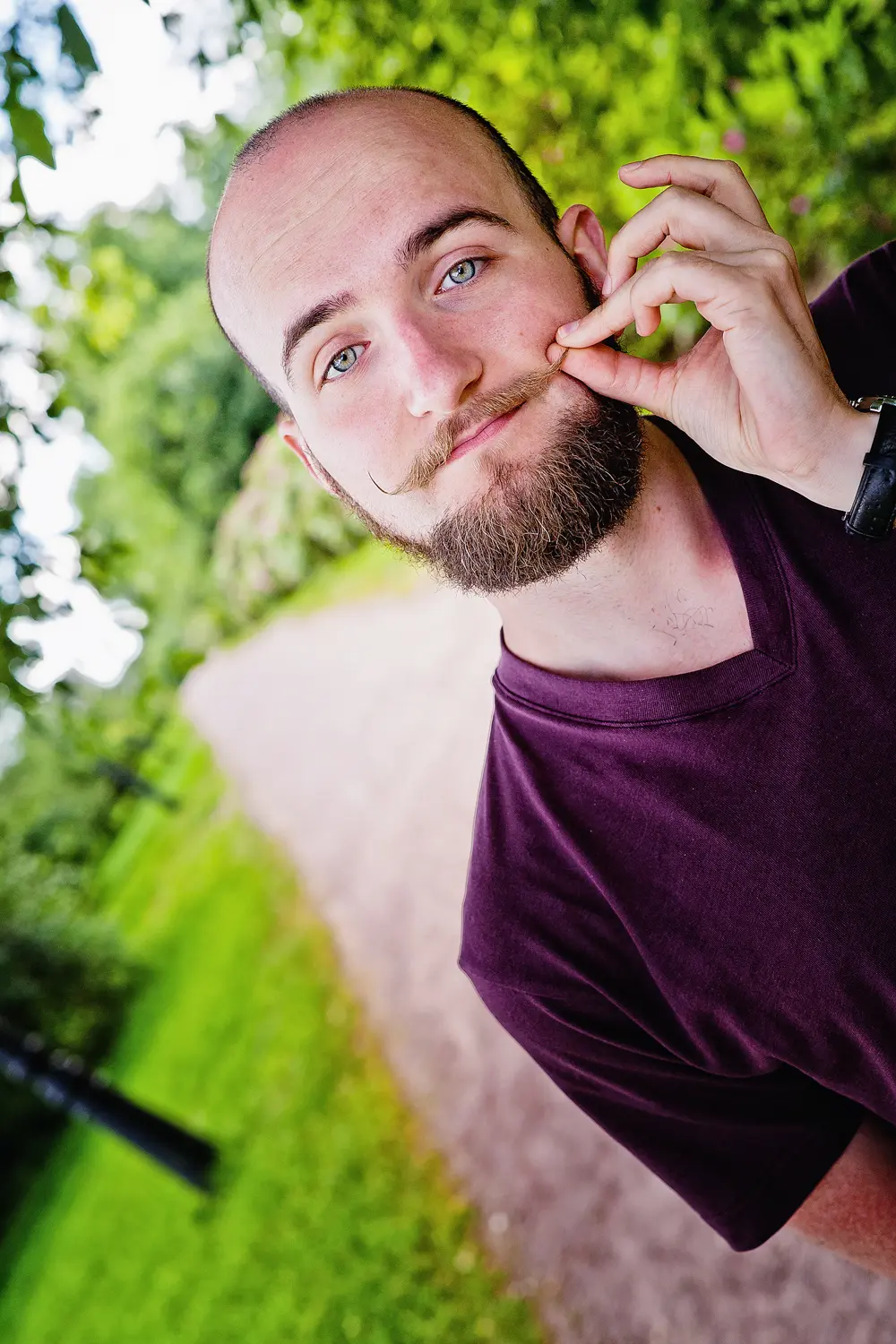 Network member avatar