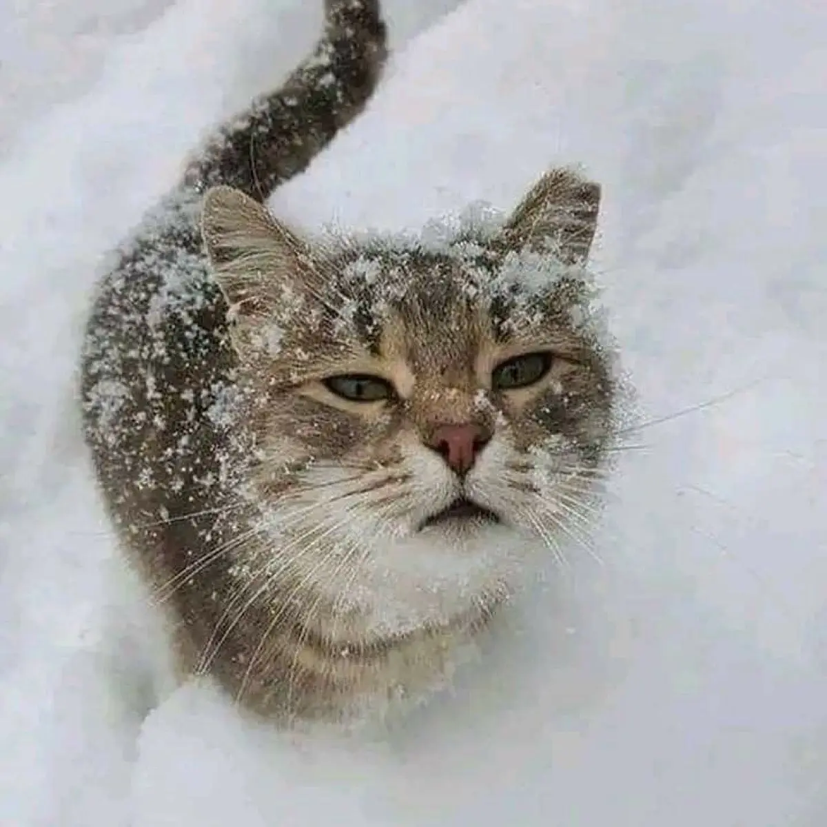 Мария Зверева