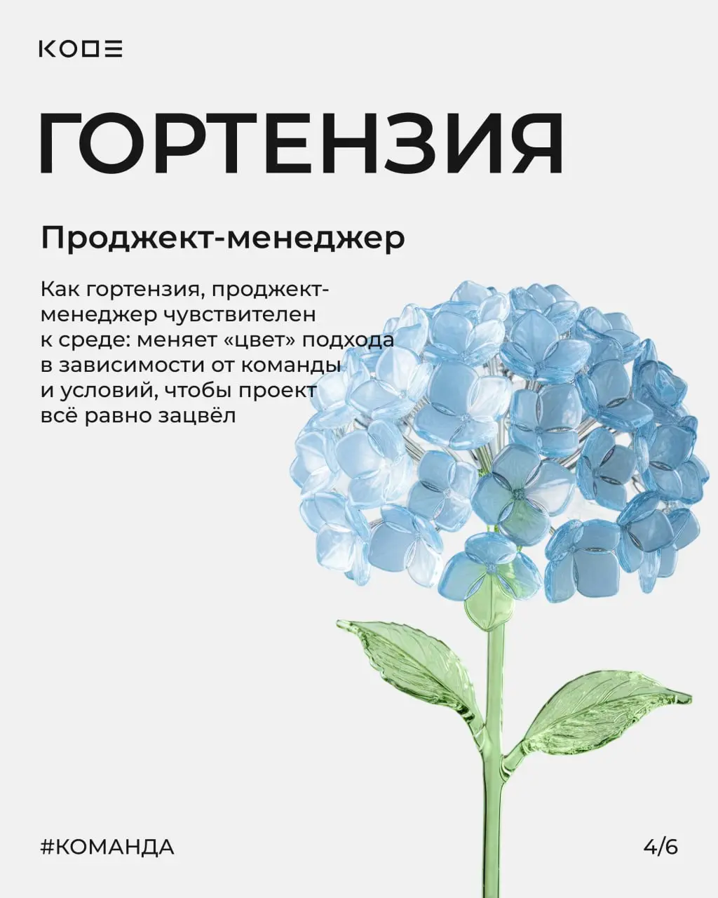 Когда получается красивый букет? Тогда, когда каждый цветок на своём месте 🌸
В IT почти так же. Продукт складывается не из задач, а из людей и ролей | Сетка — социальная сеть от hh.ru