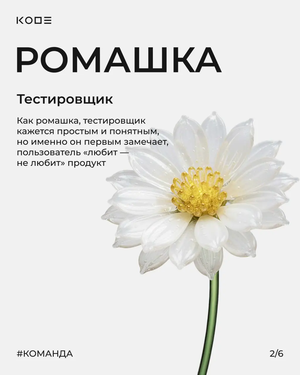 Когда получается красивый букет? Тогда, когда каждый цветок на своём месте 🌸
В IT почти так же. Продукт складывается не из задач, а из людей и ролей | Сетка — социальная сеть от hh.ru
