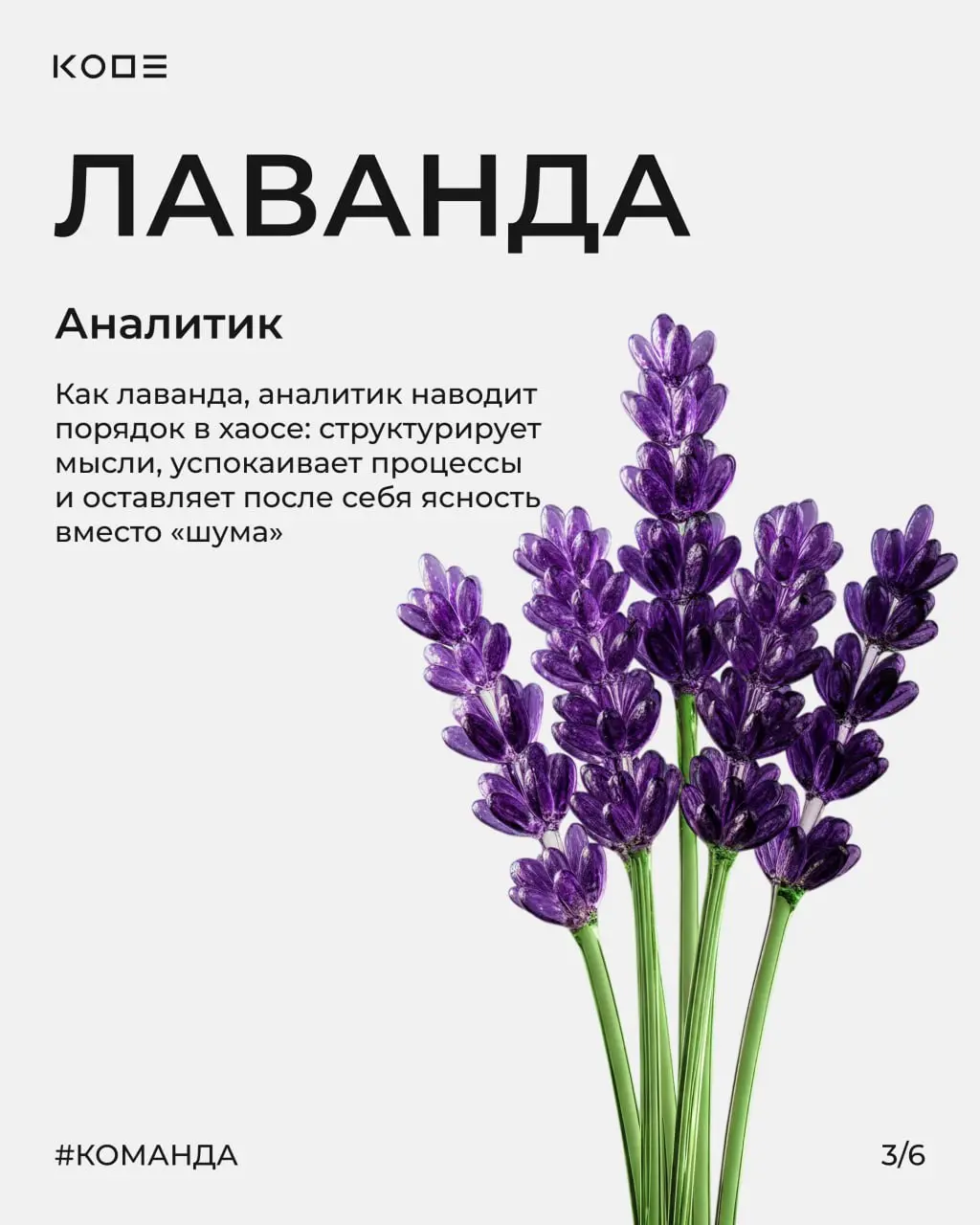 Когда получается красивый букет? Тогда, когда каждый цветок на своём месте 🌸
В IT почти так же. Продукт складывается не из задач, а из людей и ролей | Сетка — социальная сеть от hh.ru