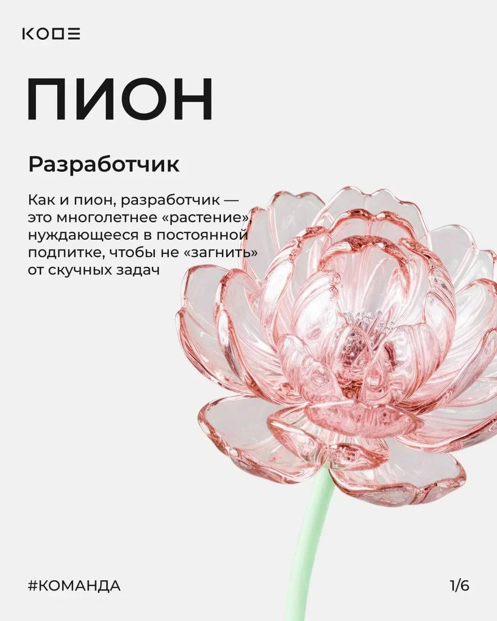 Когда получается красивый букет? Тогда, когда каждый цветок на своём месте 🌸
В IT почти так же. Продукт складывается не из задач, а из людей и ролей | Сетка — социальная сеть от hh.ru