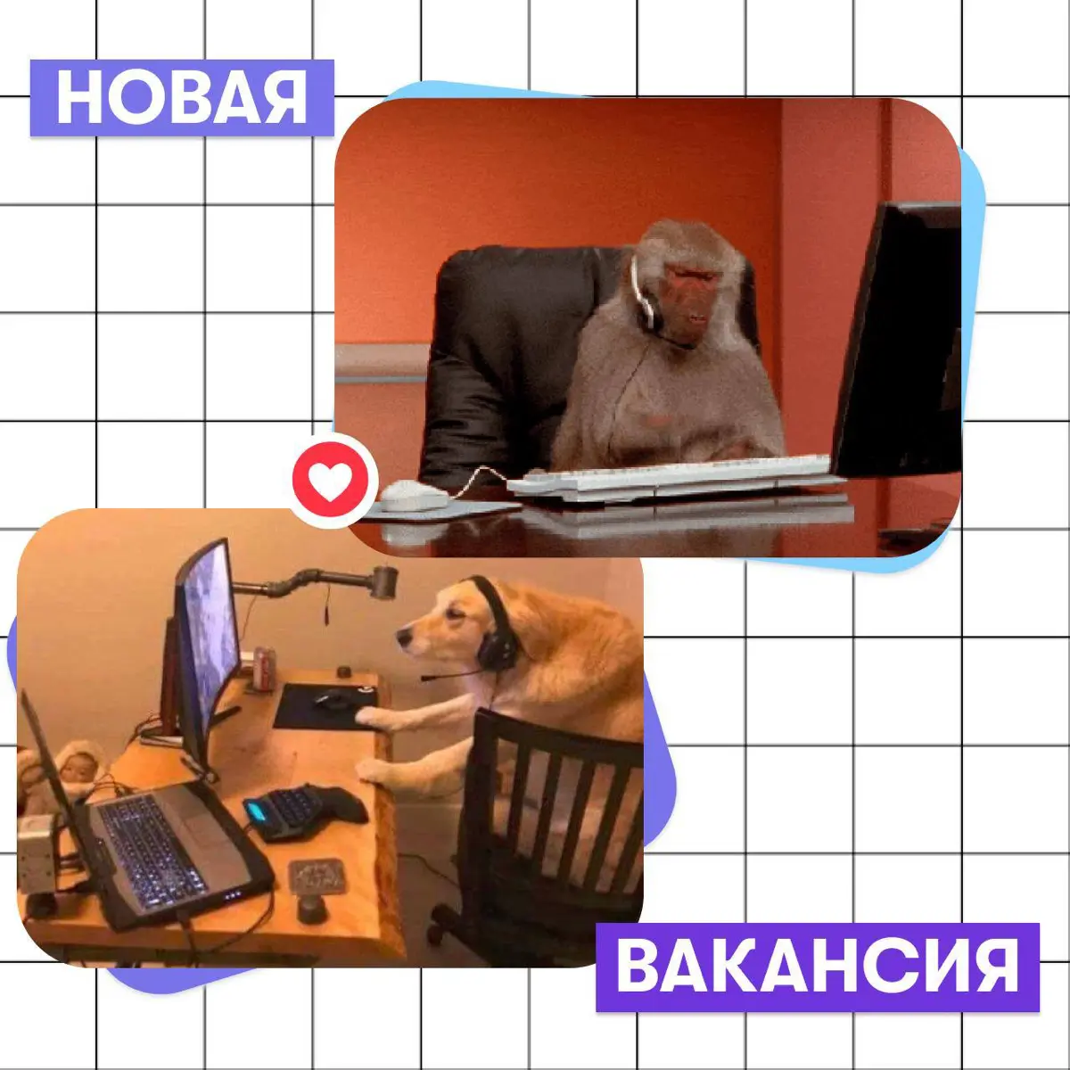 Вакансии в Правительстве Москвы каждую неделю в моем профиле | Сетка — социальная сеть от hh.ru