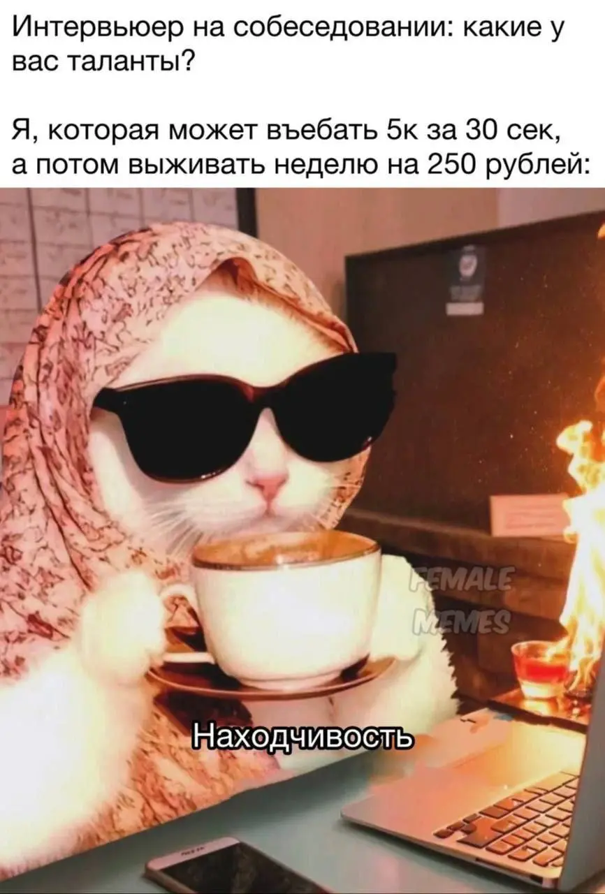 😁😆😁 не забыть выложить пятничные мемчики | Сетка — социальная сеть от hh.ru