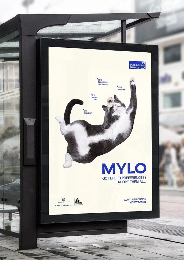 Министерство внутренних дел Греции совместно с агентством The Newtons Laboratory представило необычную кампанию — «100% Ваше». Она ломает стереотипы о том, что ценность питомца определяется породой | Сетка — социальная сеть от hh.ru
