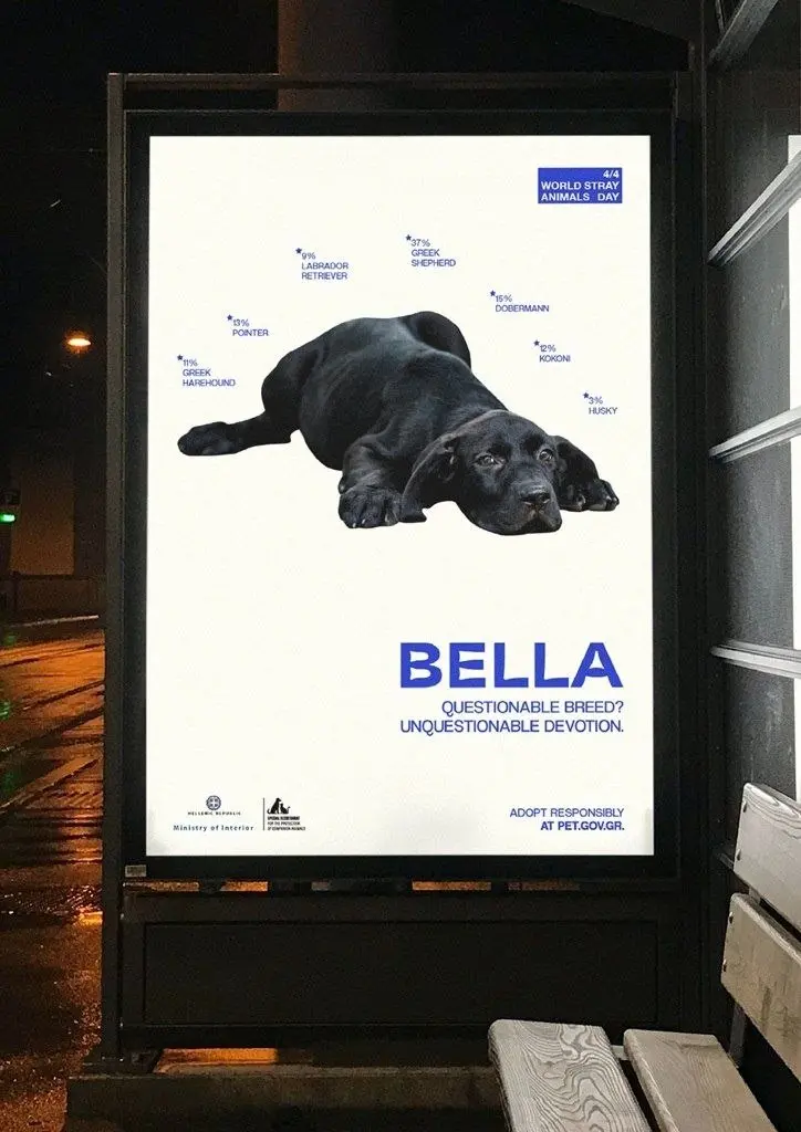 Министерство внутренних дел Греции совместно с агентством The Newtons Laboratory представило необычную кампанию — «100% Ваше». Она ломает стереотипы о том, что ценность питомца определяется породой | Сетка — социальная сеть от hh.ru