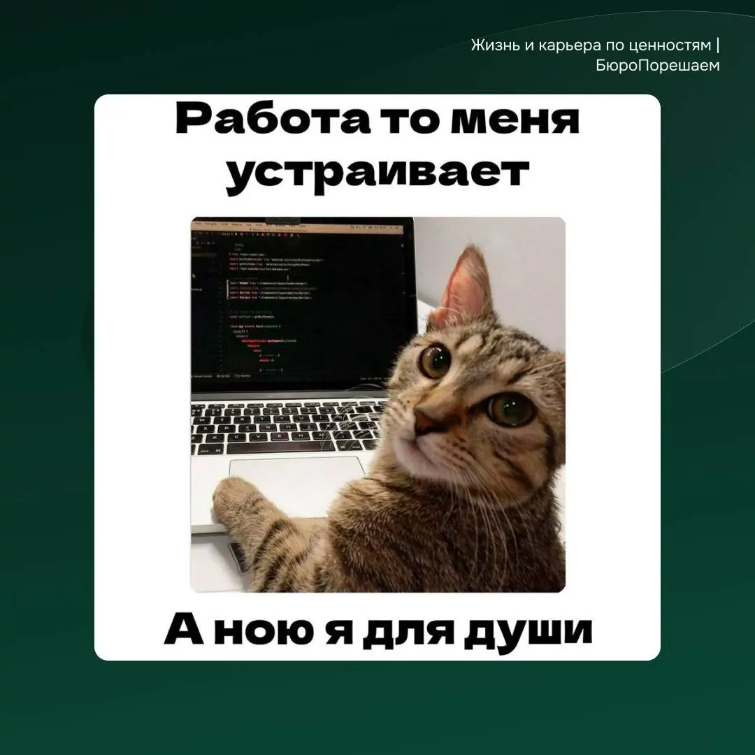 Пятничные хиханьки 👌🤓 | Сетка — социальная сеть от hh.ru