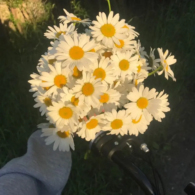 Юлия Пероль