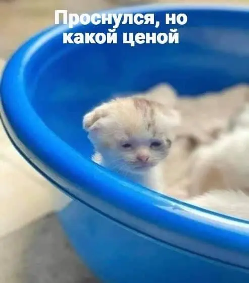#morning | Сетка — социальная сеть от hh.ru