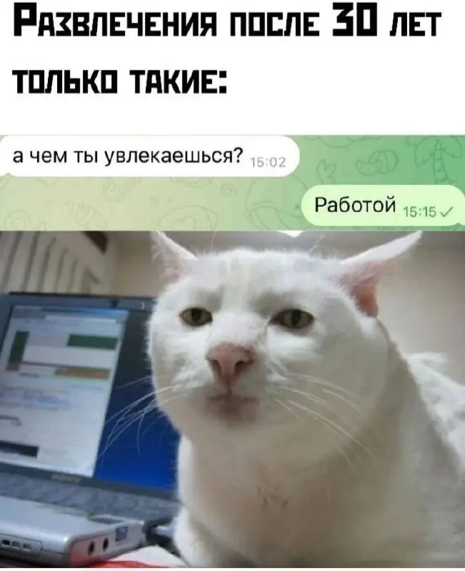 Стабильное хобби 😂
#Юмор@poldner #Коты@poldner | Сетка — социальная сеть от hh.ru