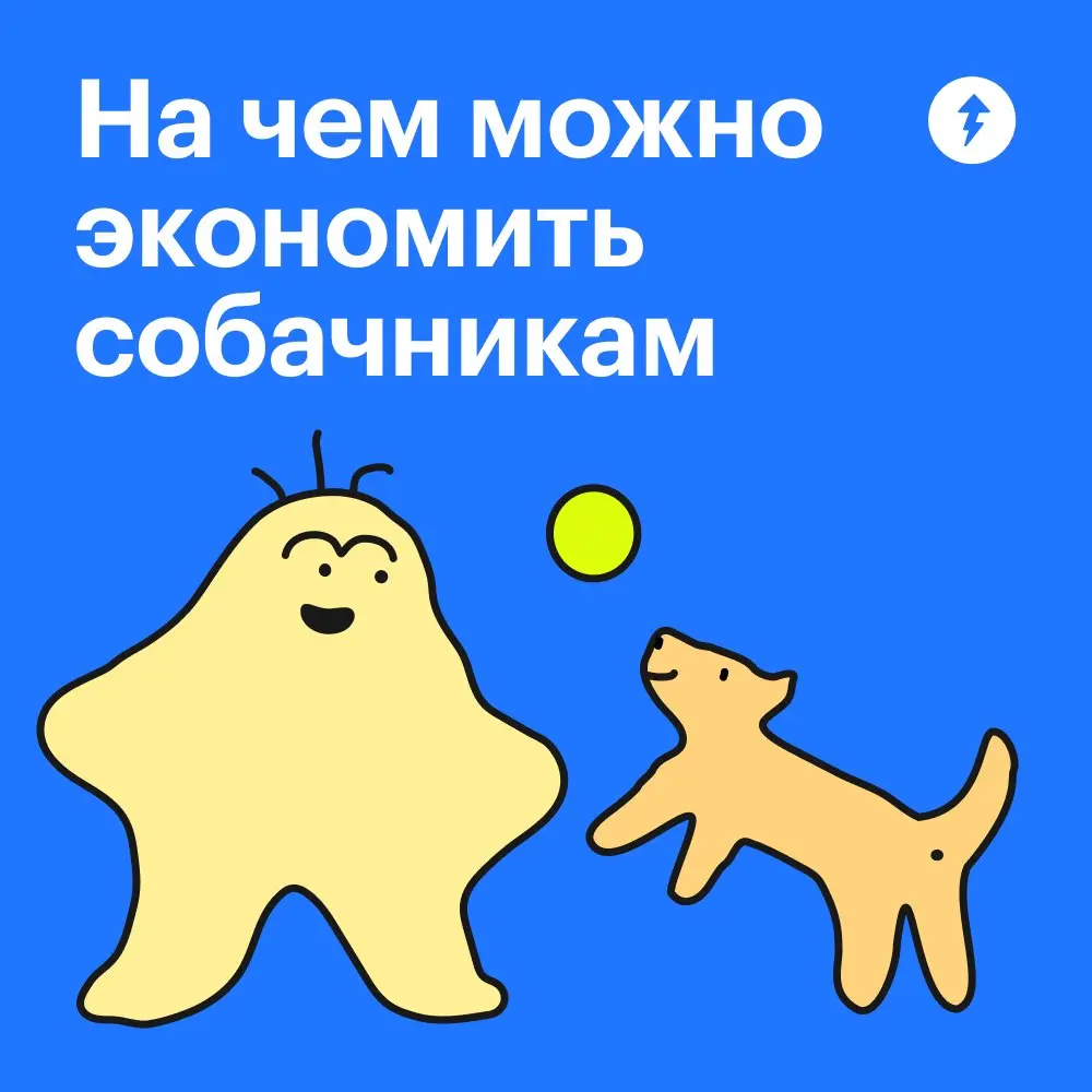 🐕: Ты зачем это читаешь? Экономить на мне собрался?
➡️ 🐶🐶🐶
#собаковедение | Сетка — социальная сеть от hh.ru