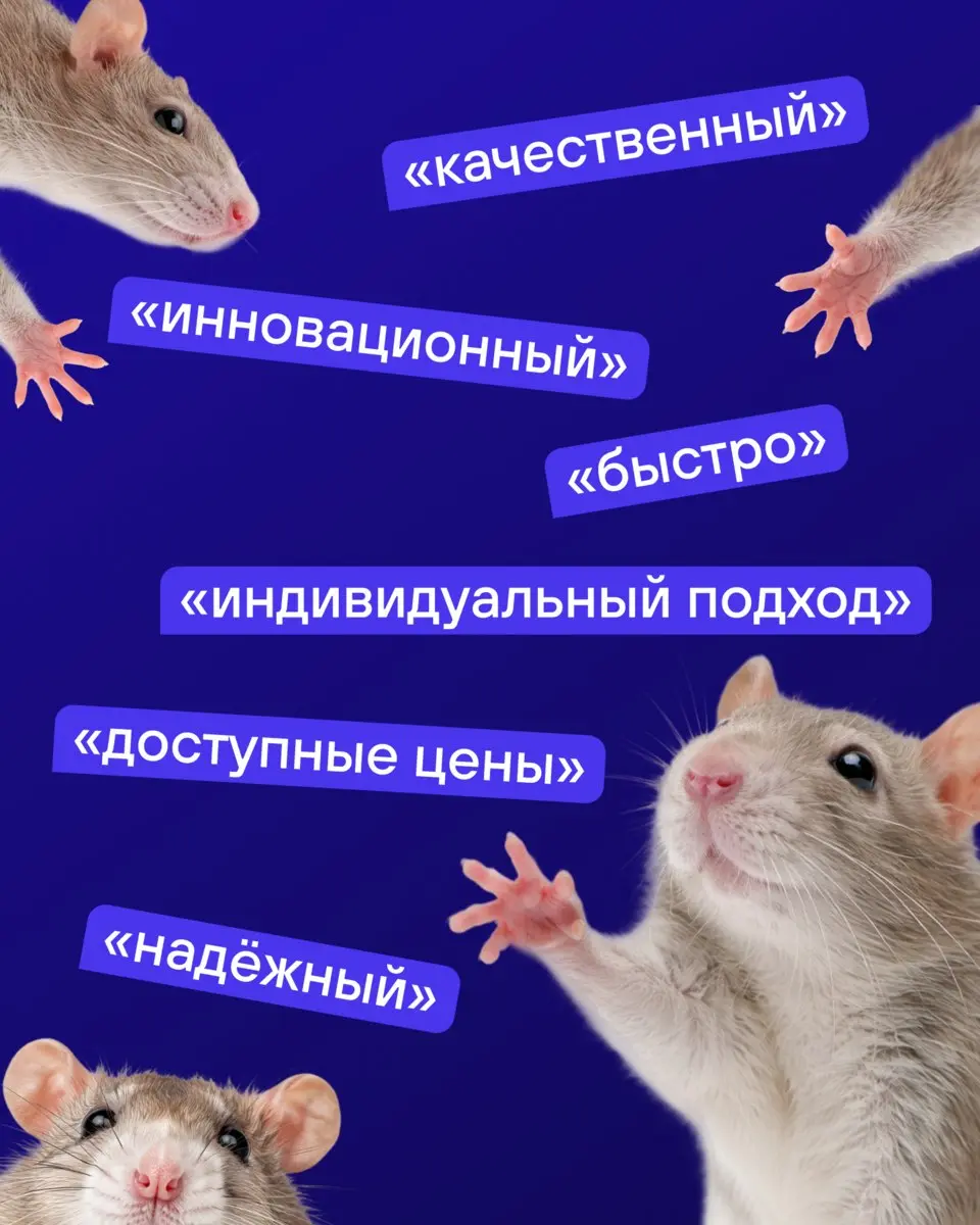 Один предприниматель гордился фразой «качественно и недорого» на сайте — пока не увидел то же самое у тысяч компаний | Сетка — социальная сеть от hh.ru