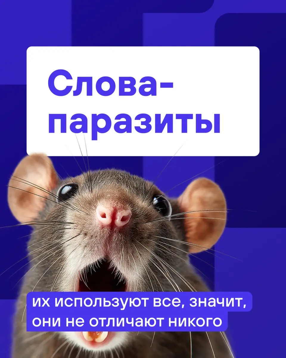 Один предприниматель гордился фразой «качественно и недорого» на сайте — пока не увидел то же самое у тысяч компаний | Сетка — социальная сеть от hh.ru
