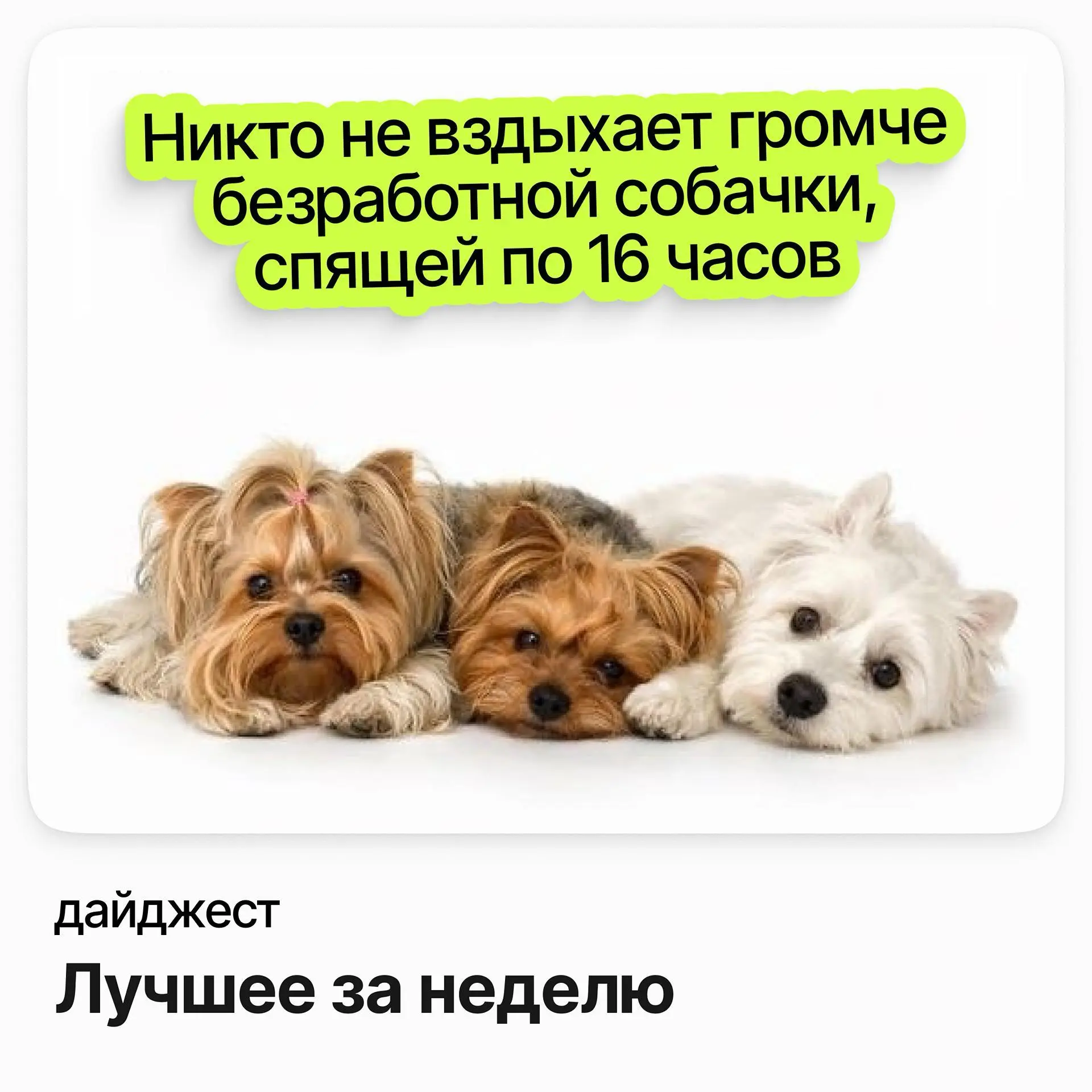 Лучшие вакансии недели | Сетка — социальная сеть от hh.ru