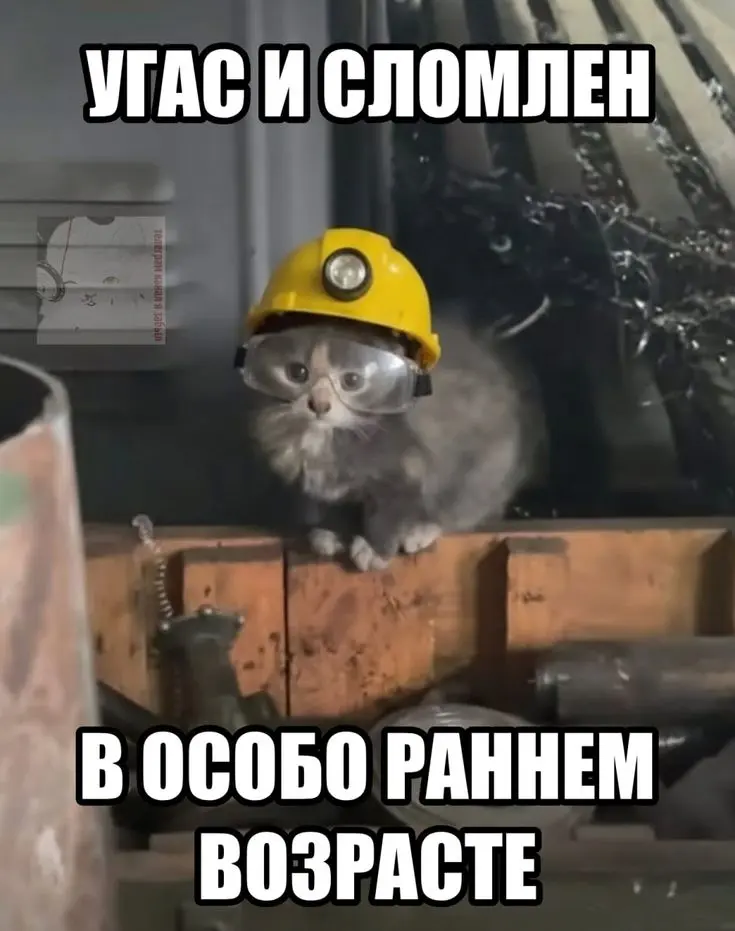 Как часто мы думаем? | Сетка — социальная сеть от hh.ru