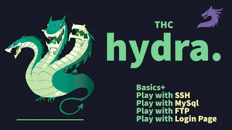 🐉 Hydra: Цифровой ломик, который открывает все | Сетка — социальная сеть от hh.ru