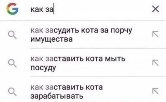 Увы, ответов на эти вопросы так и нет. | Сетка — социальная сеть от hh.ru