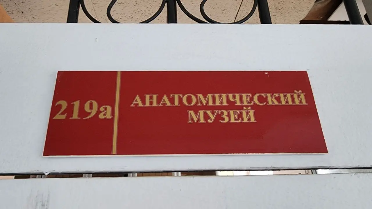 Анатомический музей УлГПУ: самое жуткое и завораживающее место «Стачки 2026» #Стачка #Ульяновск | Сетка — социальная сеть от hh.ru