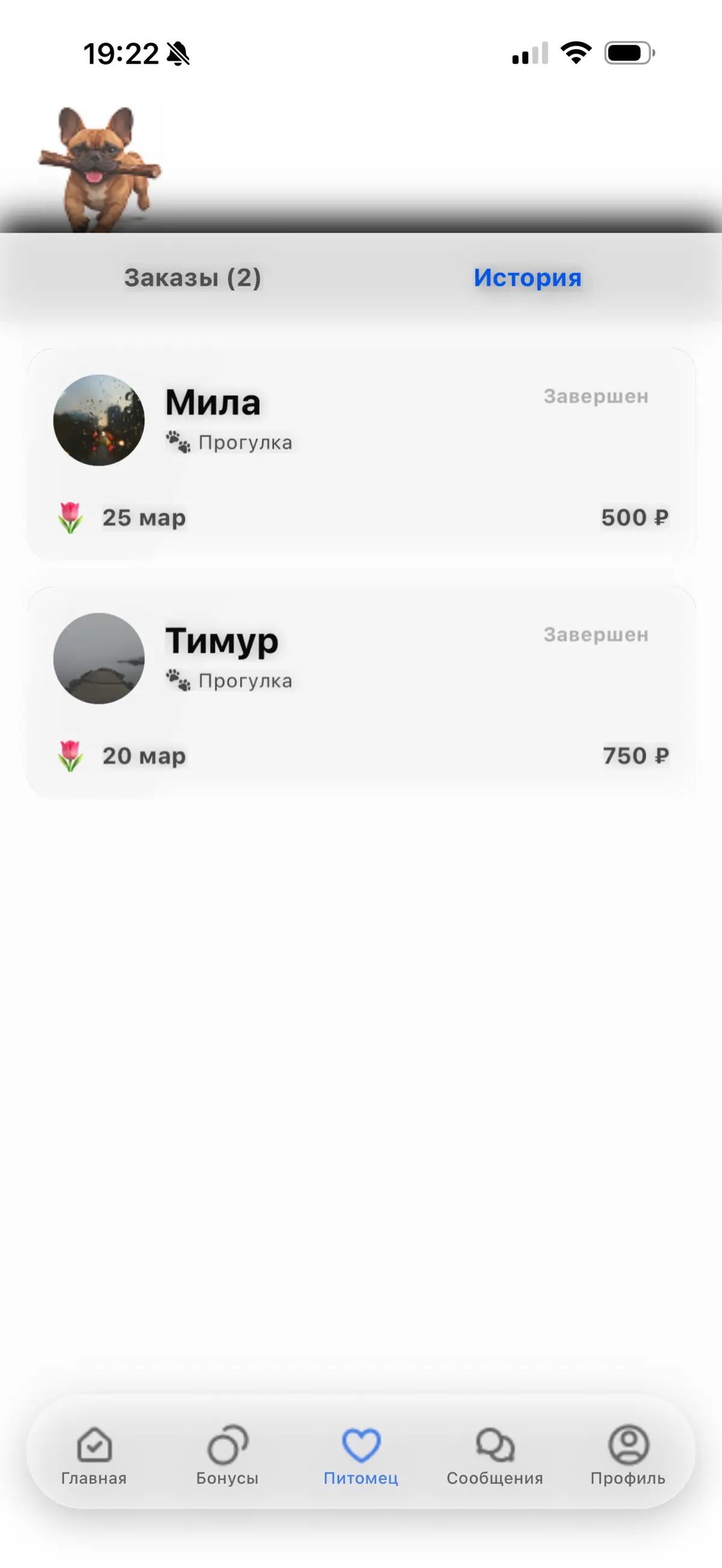 Создаю свое приложение - карточки заказа | Сетка — социальная сеть от hh.ru