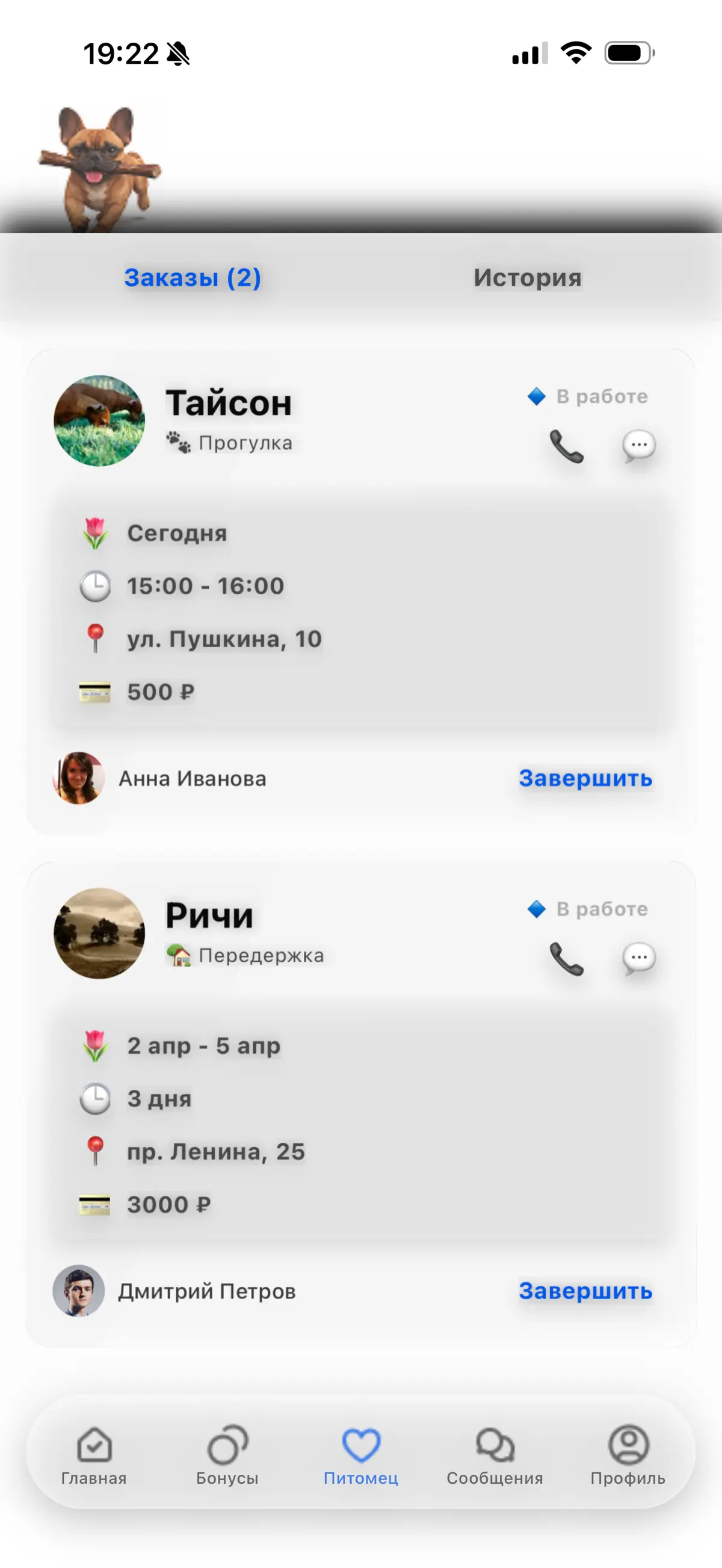 Создаю свое приложение - карточки заказа | Сетка — социальная сеть от hh.ru