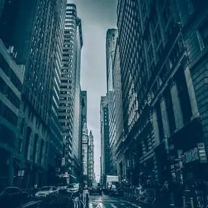 Слушай, это безумие, но факт: твои растения могут понимать тебя лучше, чем соседи! 🌿 Да-да, ты не ослышался | Сетка — социальная сеть от hh.ru