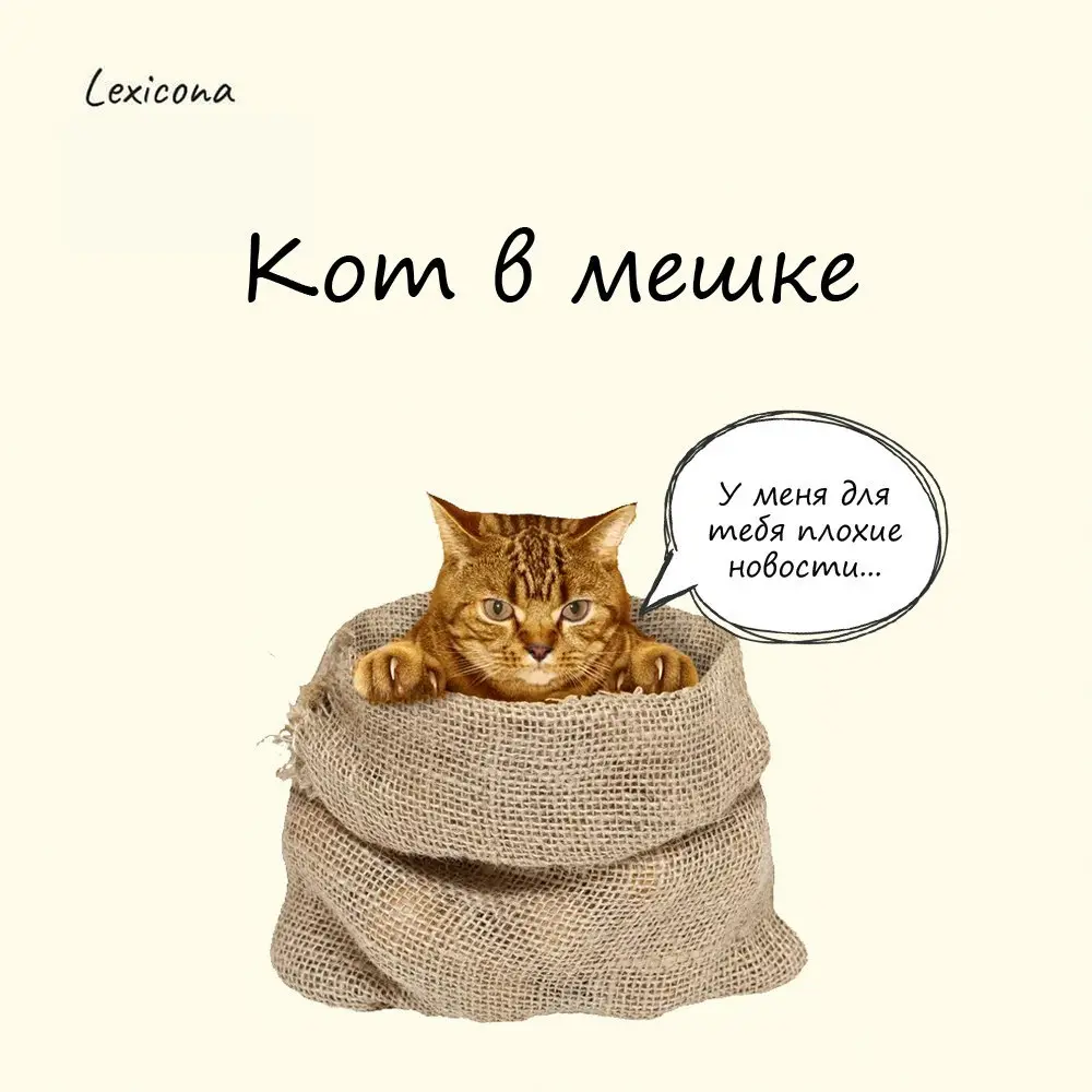 Кот в мешке
Выражение появилось в Средневековье, когда поросят продавали и покупали на ярмарках. Удобнее всего переносить их было в мешках | Сетка — социальная сеть от hh.ru