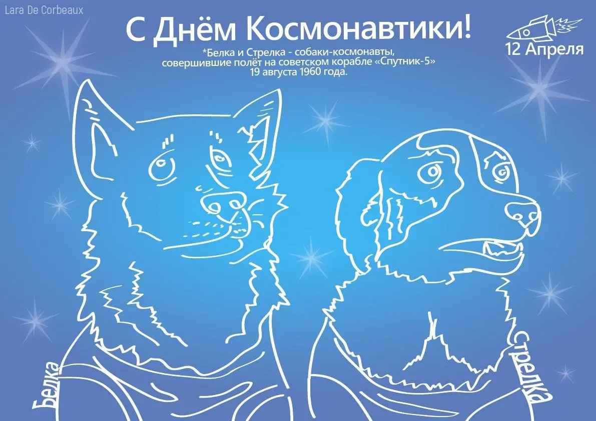 Поздравляю всех с днём Космонавтики! 🚀🐕 | Сетка — социальная сеть от hh.ru