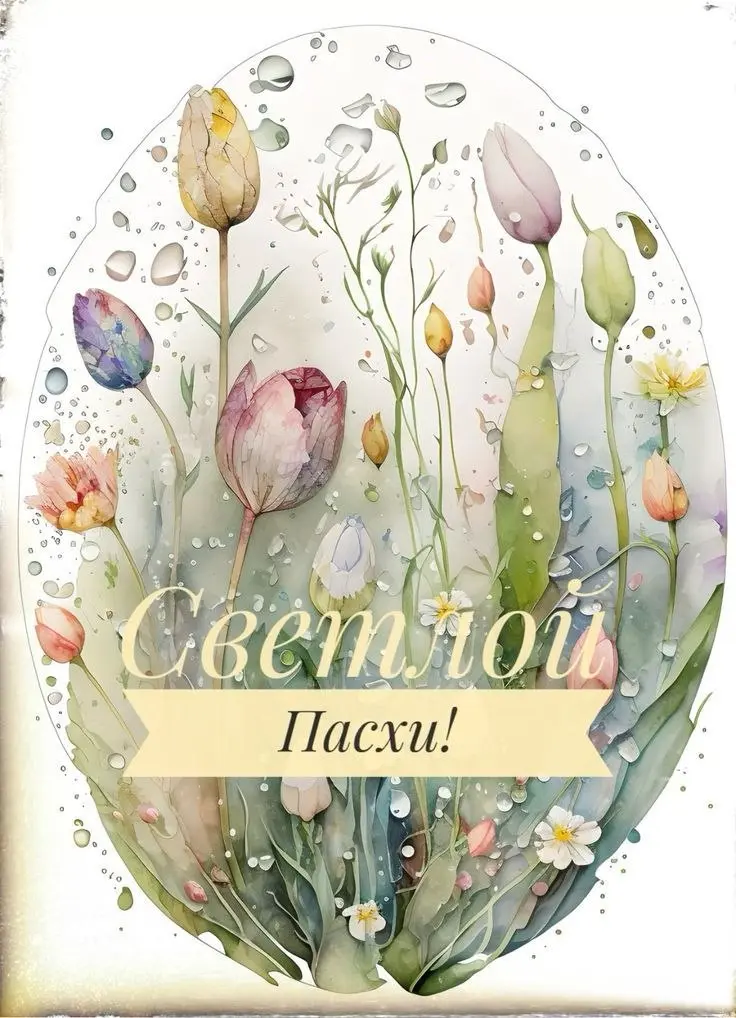 С Праздником 🕊 | Сетка — социальная сеть от hh.ru