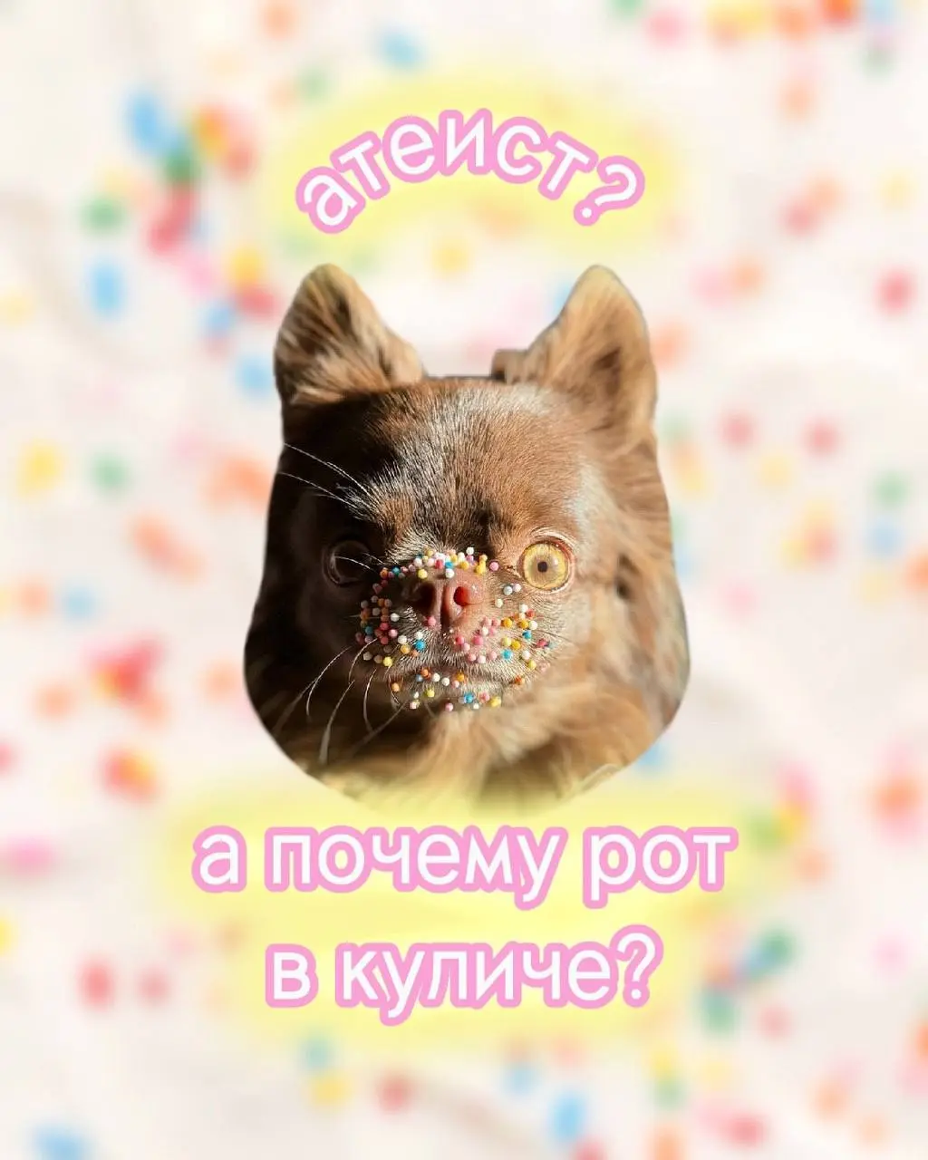 Блогеры-собачки Бонус и Вася выкатили универсальные пасхальные открытки. Поздравляем сегодня всех только с таким вайбом 😘 | Сетка — социальная сеть от hh.ru