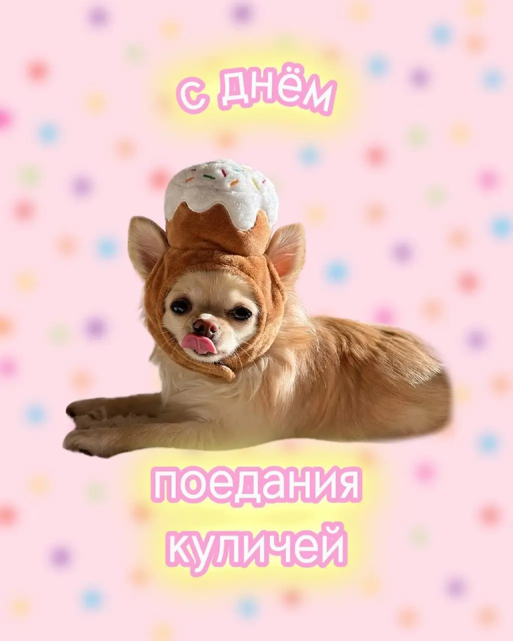Блогеры-собачки Бонус и Вася выкатили универсальные пасхальные открытки. Поздравляем сегодня всех только с таким вайбом 😘 | Сетка — социальная сеть от hh.ru