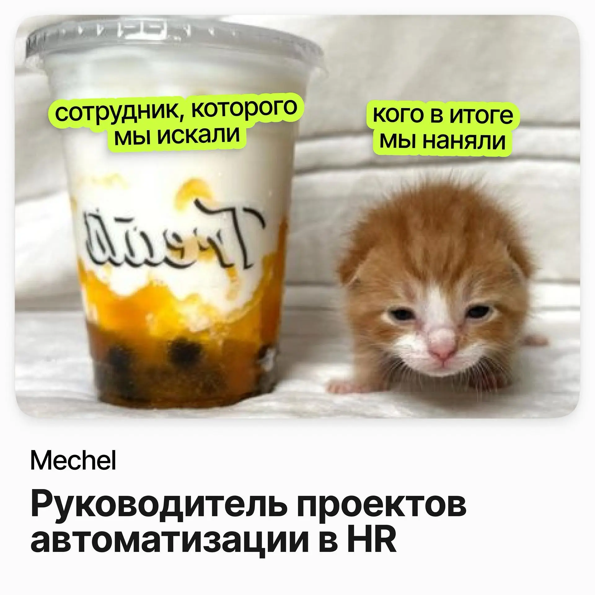Руководитель проектов автоматизации в HR / Mechel | Сетка — социальная сеть от hh.ru