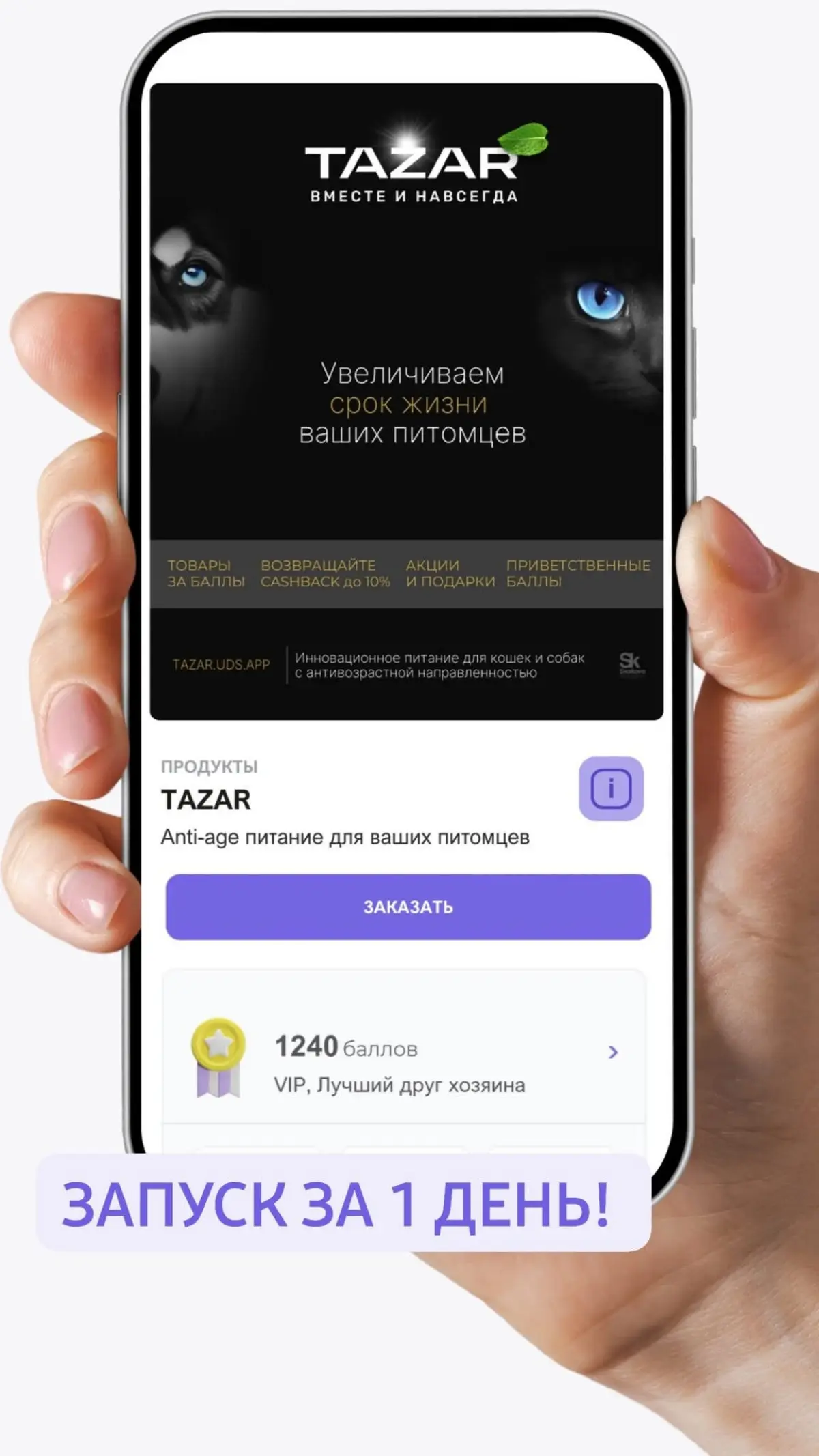 Приветствую, путник. | Сетка — социальная сеть от hh.ru