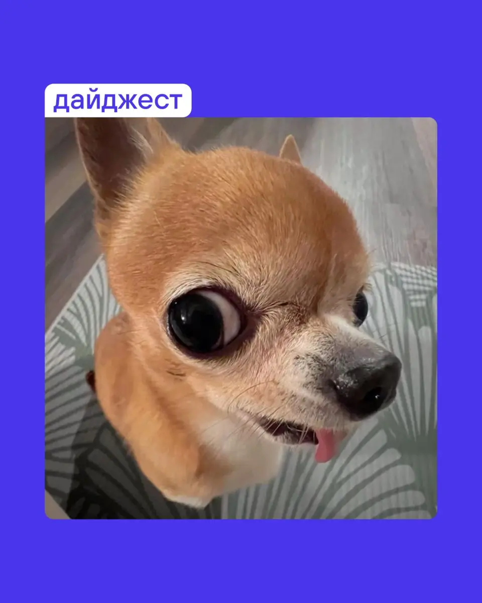 Для настройки на предстоящую рабочую неделю собрали для вас полезностей:
Ошибка большинства компаний и гайд по самопроверке
3 простых шага на пути к бренду
Путь к айдентике, которая продает еще до вст... | Сетка — социальная сеть от hh.ru