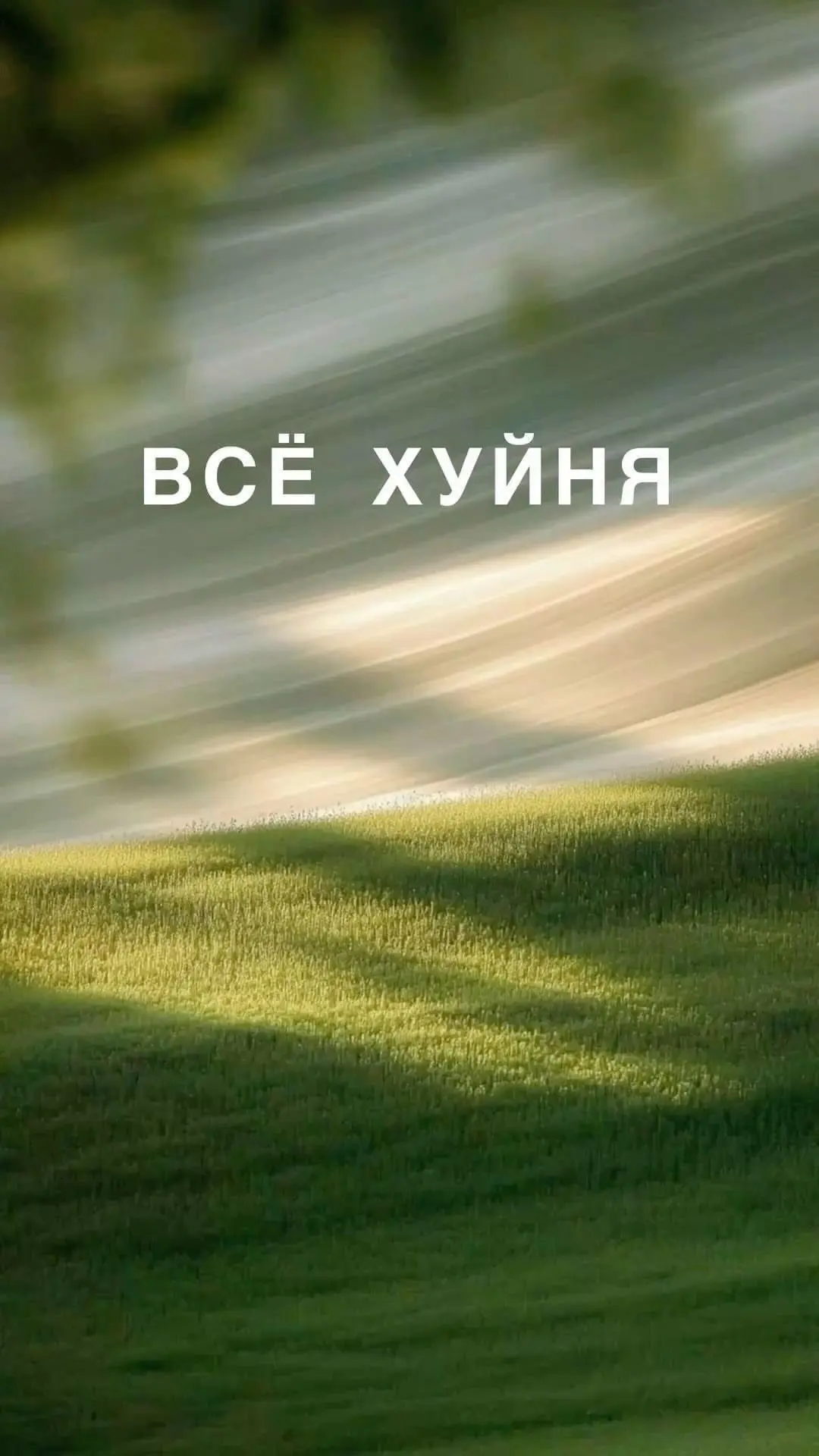 Собрал для вас подборку из пяти антистресс-заставок на случай, если решите спонтанно обновиться этой весной.
Экономим на магнии с вайбом 😎 | Сетка — социальная сеть от hh.ru