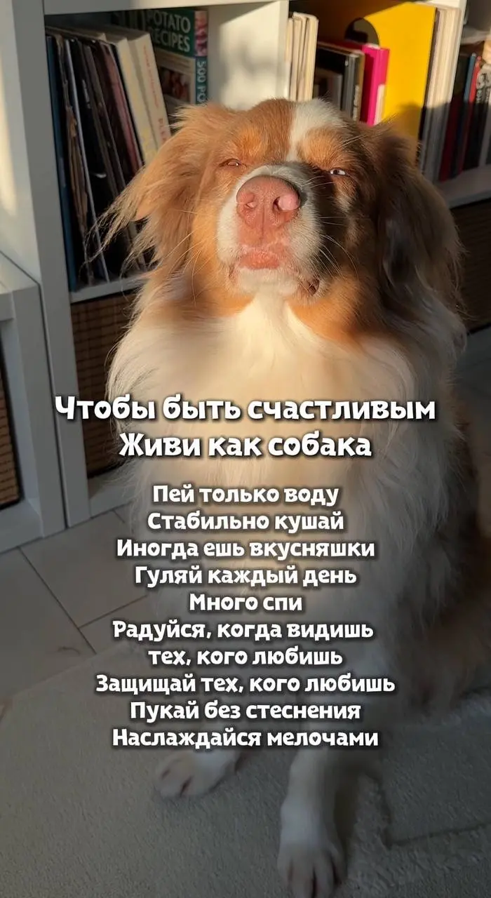 Аминь 😂 | Сетка — социальная сеть от hh.ru