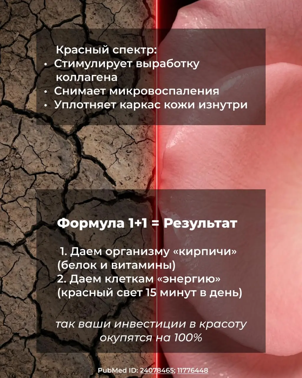 Почему ваш коллаген «спит»? 💤
🪫 Вы можете пить лучший коллаген в мире, но если у клеток нет энергии на его усвоение — вы просто переводите ресурс
Достаточно 10–15 минут сеанса с инфракрасной лампой, ч... | Сетка — социальная сеть от hh.ru