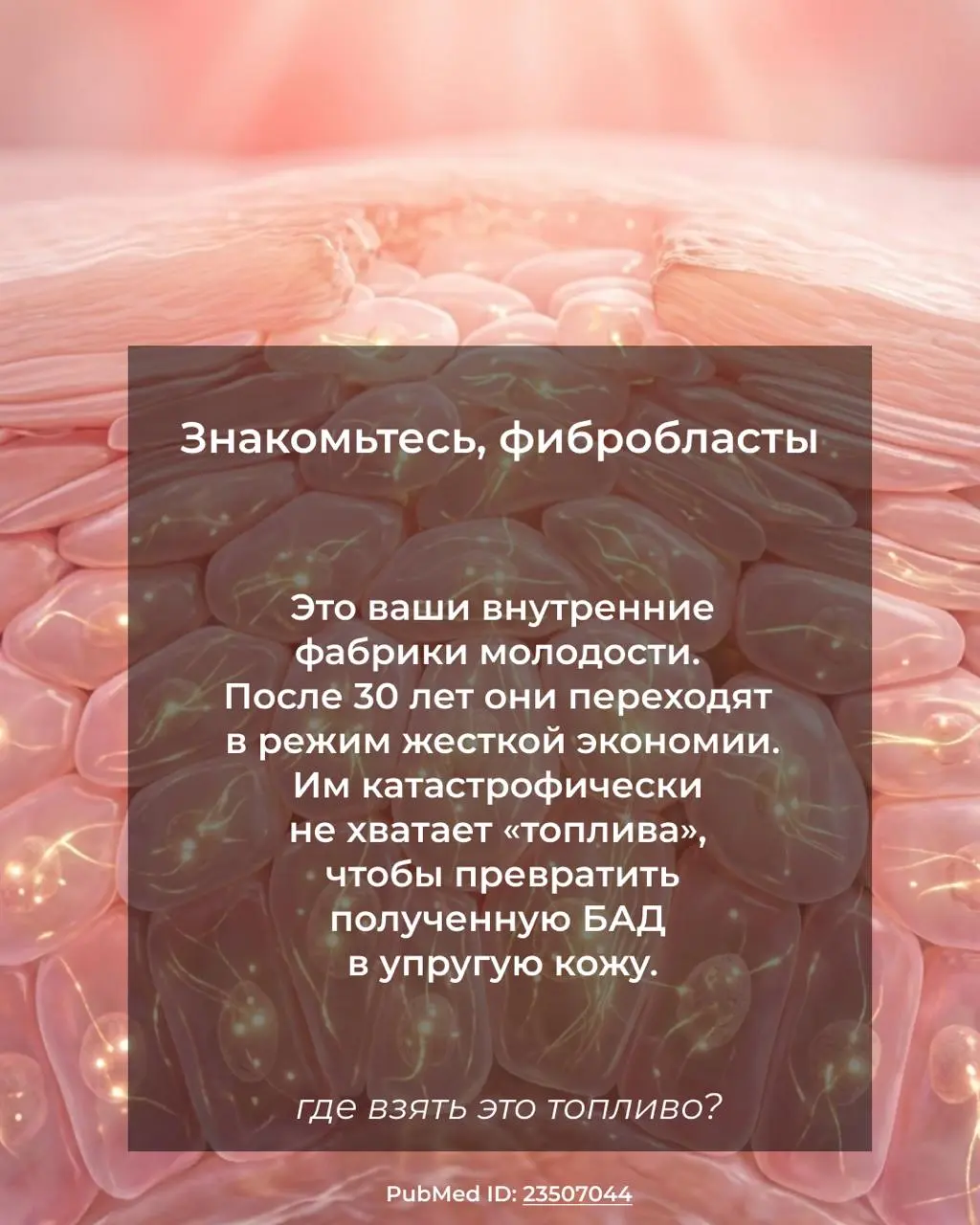Почему ваш коллаген «спит»? 💤
🪫 Вы можете пить лучший коллаген в мире, но если у клеток нет энергии на его усвоение — вы просто переводите ресурс
Достаточно 10–15 минут сеанса с инфракрасной лампой, ч... | Сетка — социальная сеть от hh.ru
