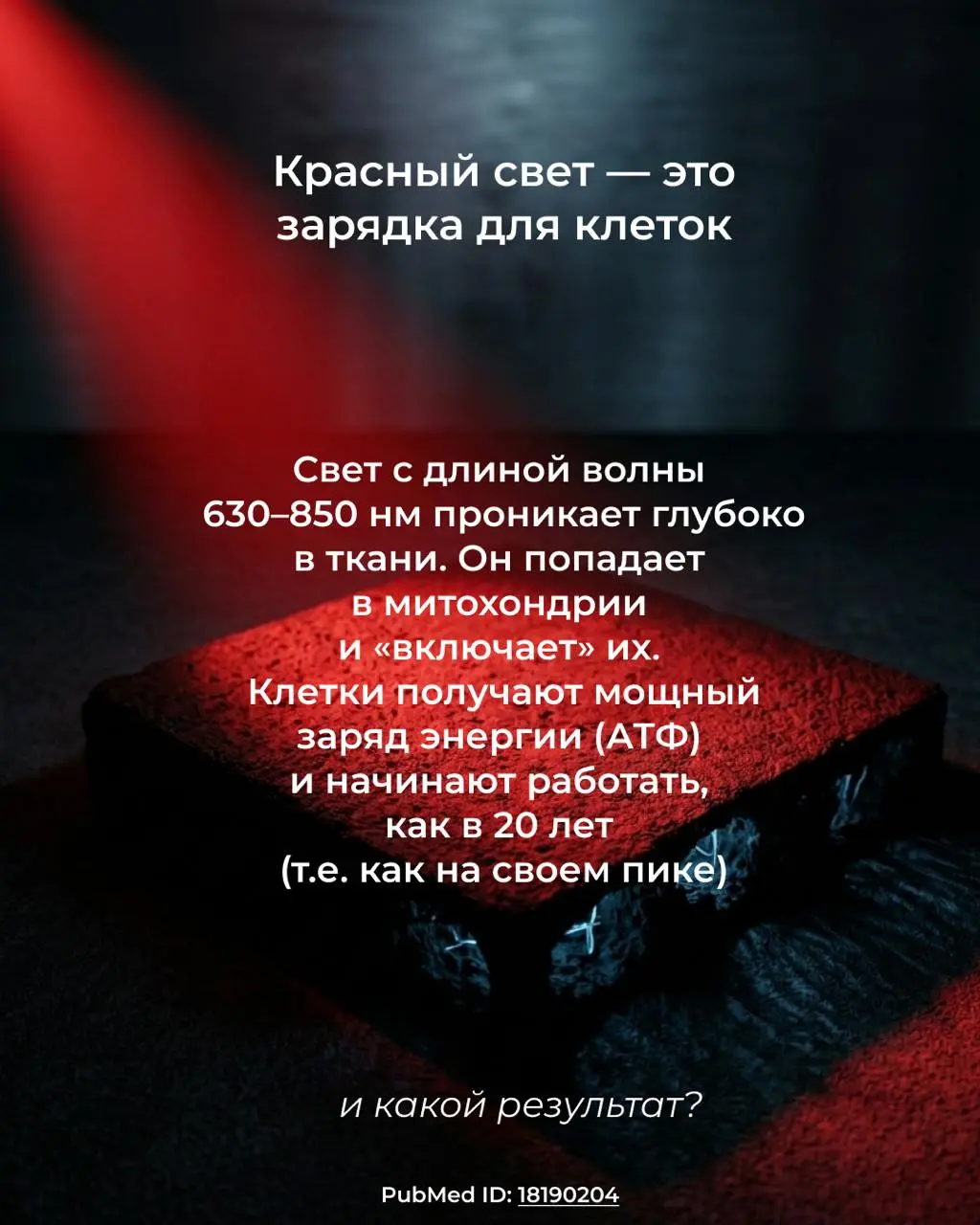 Почему ваш коллаген «спит»? 💤
🪫 Вы можете пить лучший коллаген в мире, но если у клеток нет энергии на его усвоение — вы просто переводите ресурс
Достаточно 10–15 минут сеанса с инфракрасной лампой, ч... | Сетка — социальная сеть от hh.ru