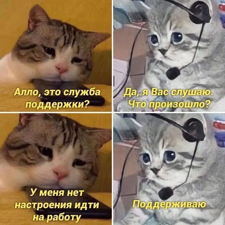 Поддерживаем? | Сетка — социальная сеть от hh.ru