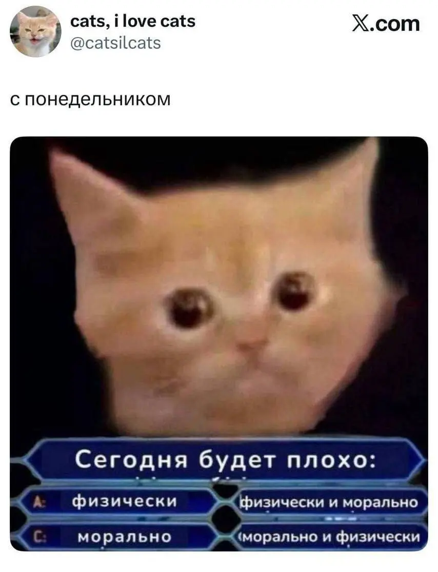 План на сегодня:
✅ Заполнить анкету СБ
➡️ Пройти собес с эйчар ди, чтобы ускорить еще один оффер
✅ С утра еще 2 приглашения пришло от 2 известных компаний 🥹
Чего-то все проснулись 🤪🤣👌🏻 | Сетка — социальная сеть от hh.ru